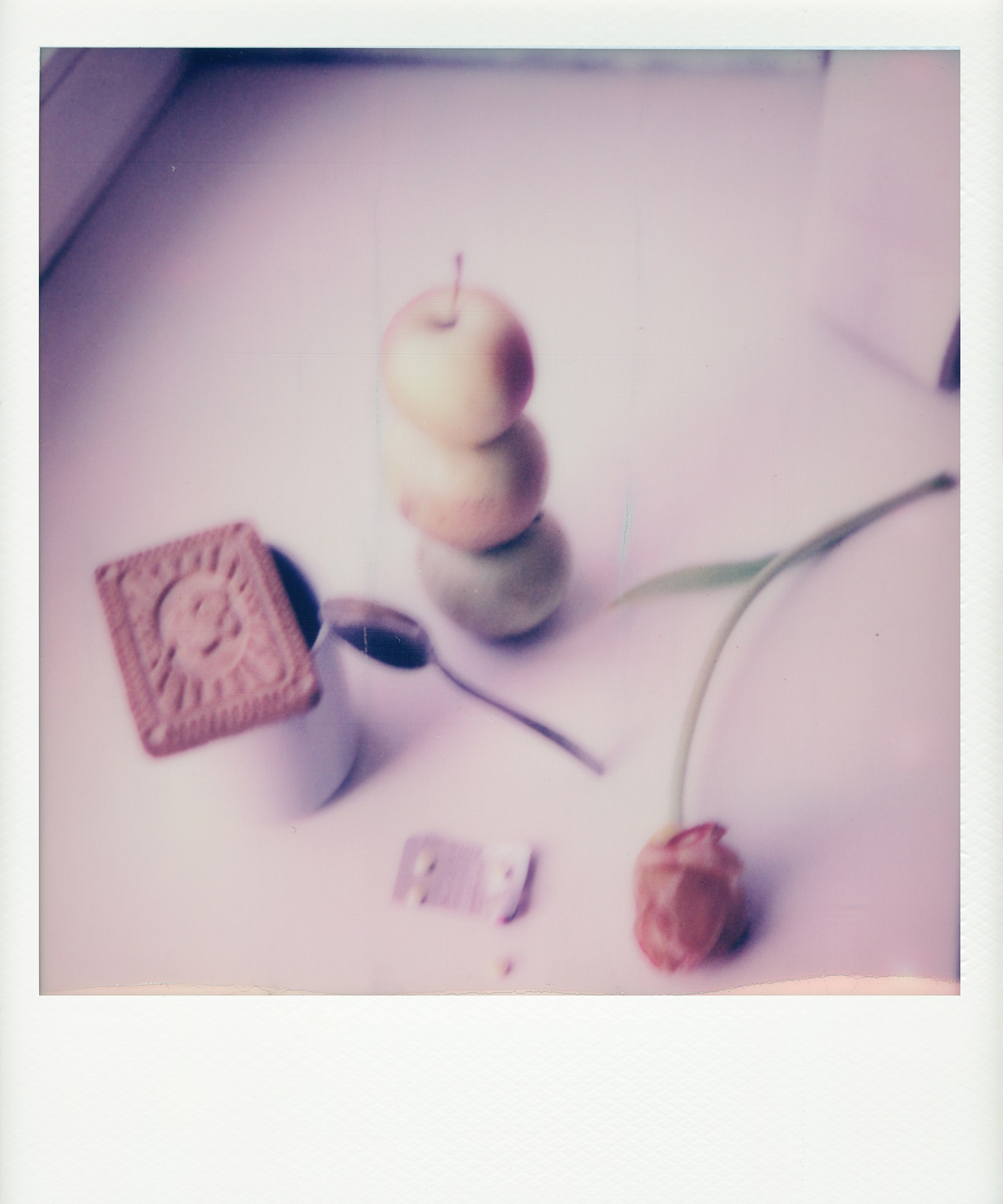 Mom's Diary. Заставка