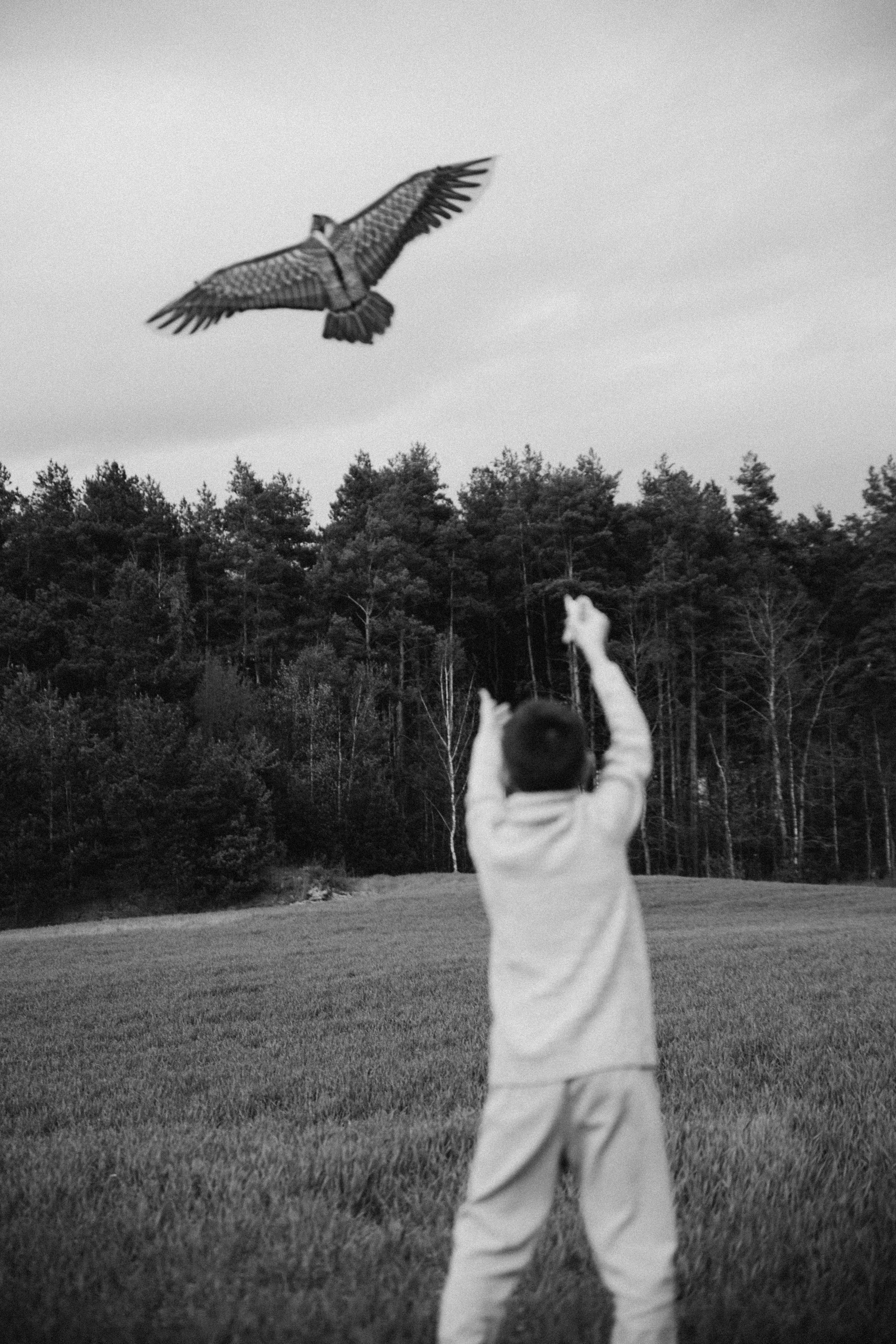Ветер в наших волосах. Репортажный и детский фотограф в Минске