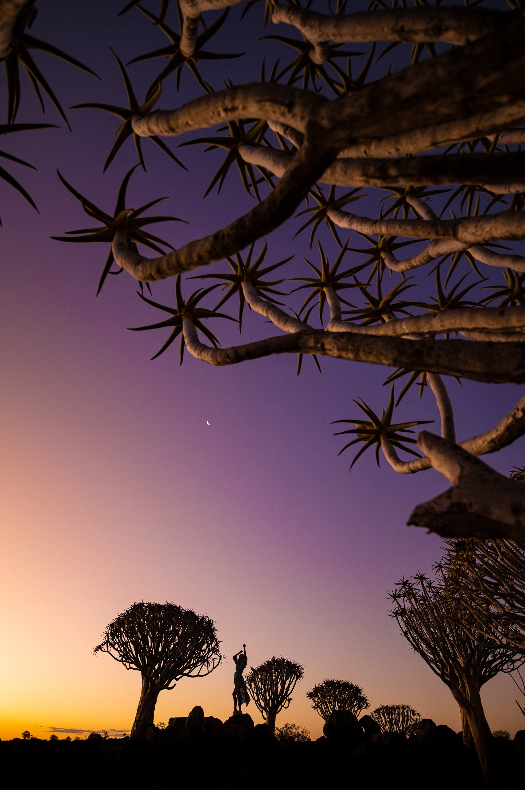 НАМИБИЯ. Роадтрип