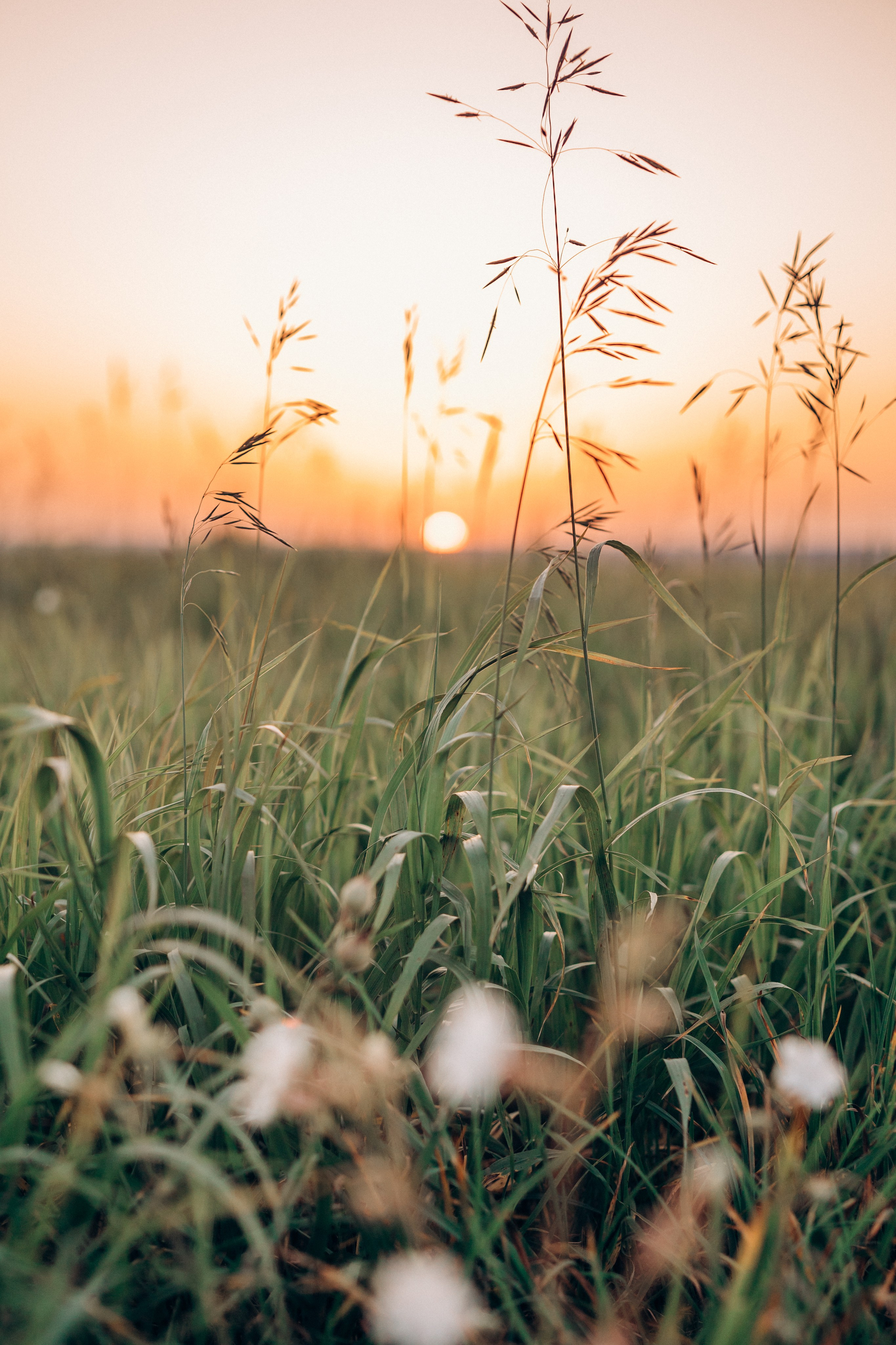 Лети, мой змей!. Семейный и детский фотограф |Брянск| Анастасия Перепелкина