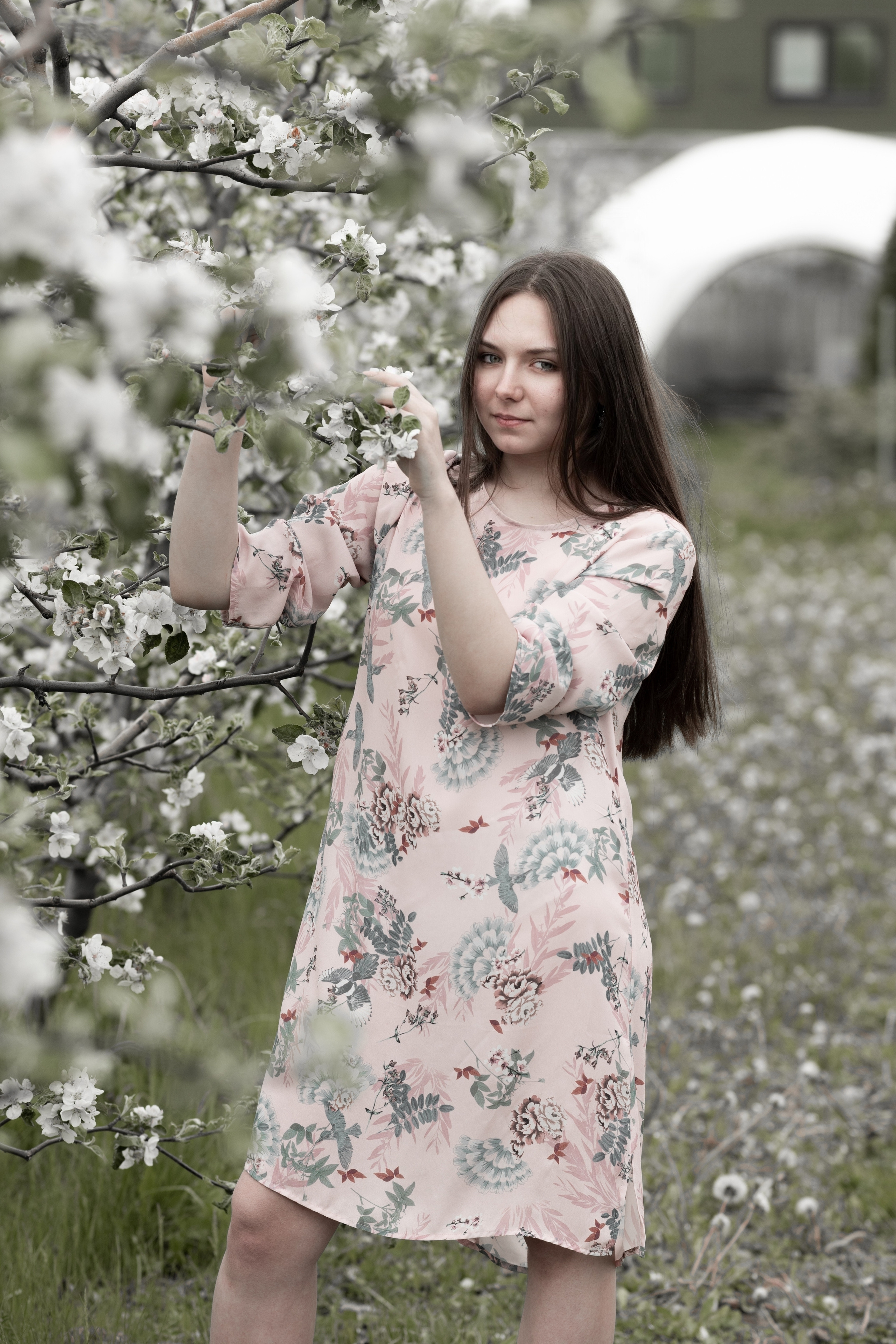 ВИКА. ФОТОСЕССИЯ В ВЕСЕННЕМ, БЕЛОСНЕЖНОМ САДУ, ЦВЕТУЩИХ ЯБЛОНЬ. ОЗЕРЫ. Светлана Басари портретный фотограф