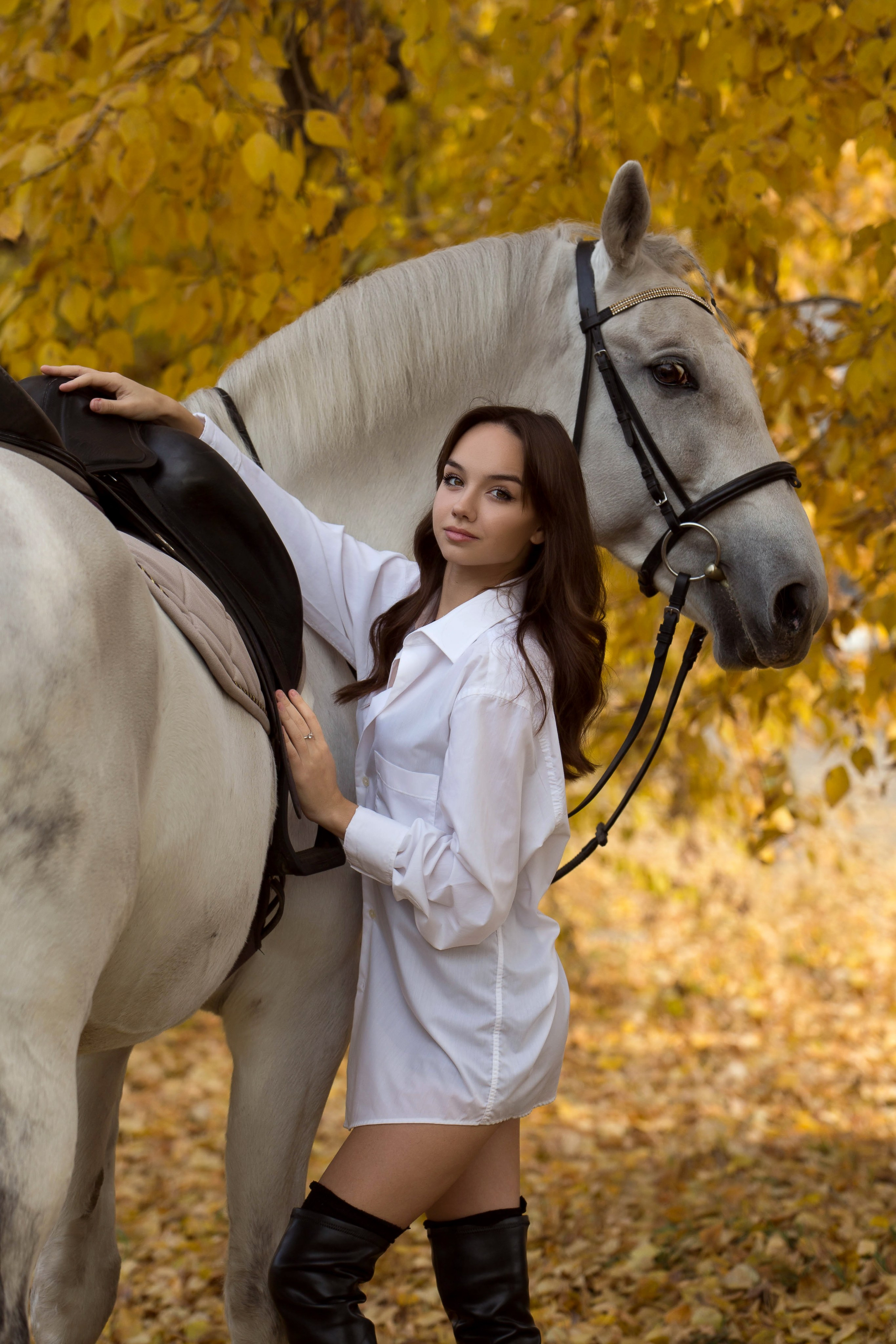Зина и Пэрис. Конный фотограф в Красноярске — Любовь Похабова