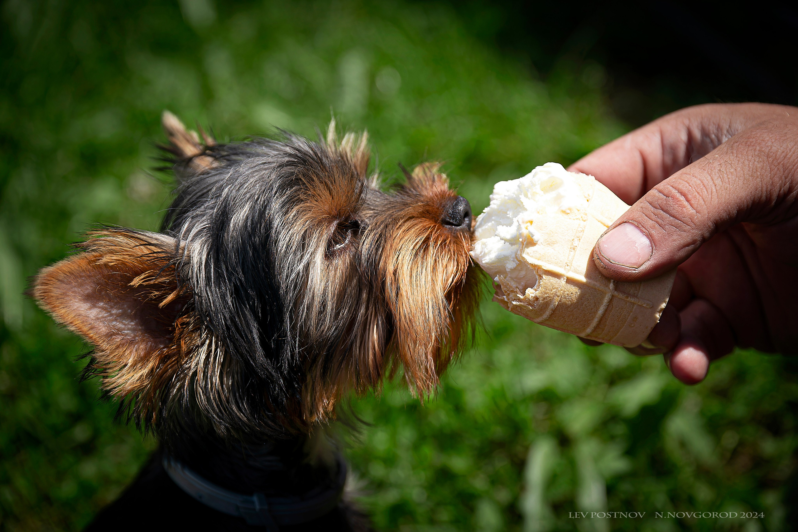 Тофик. Лев Постнов.Фотограф. Нижний Новгород