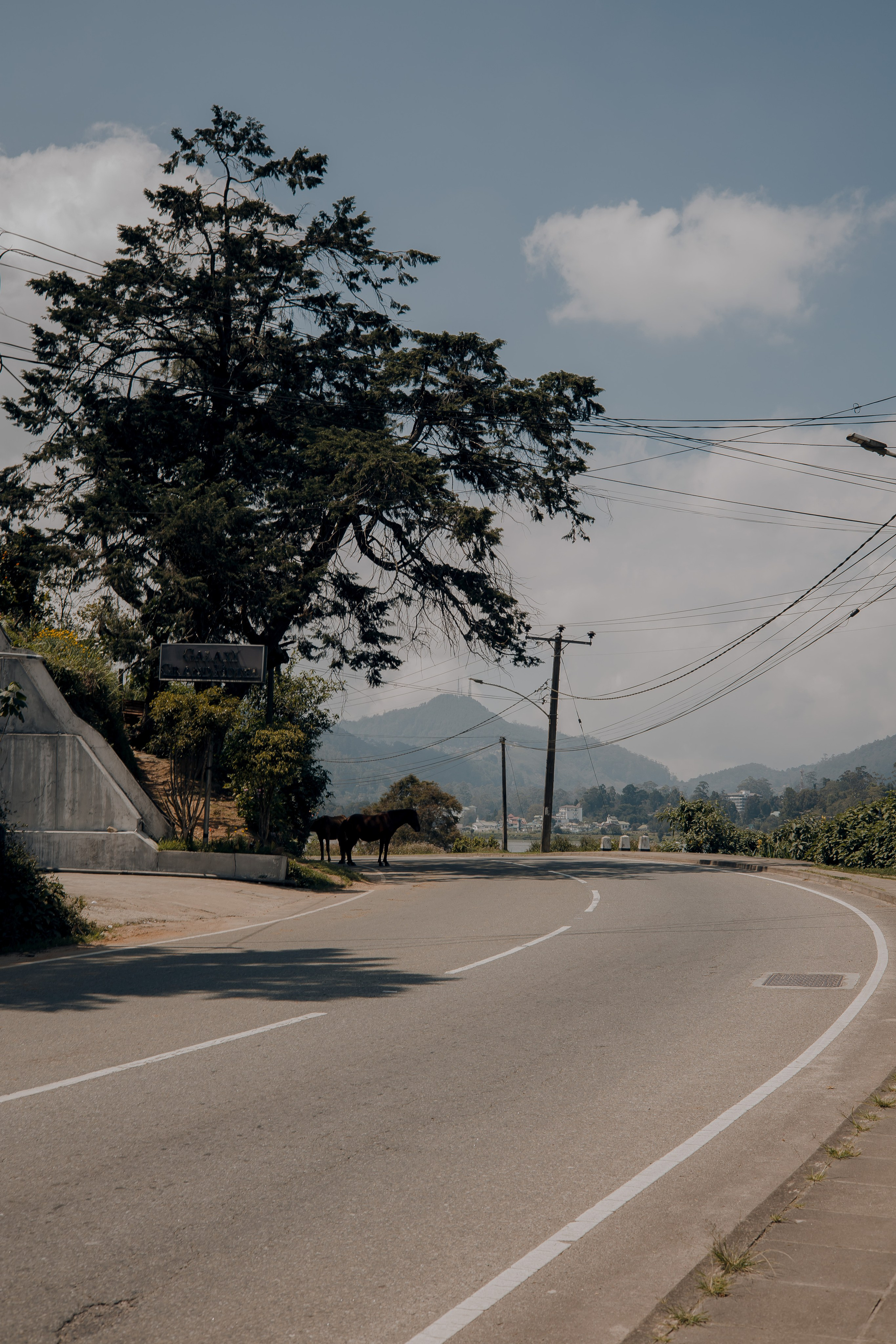 Sri Lanka, Nuwara Elia 2026. Art Photographer