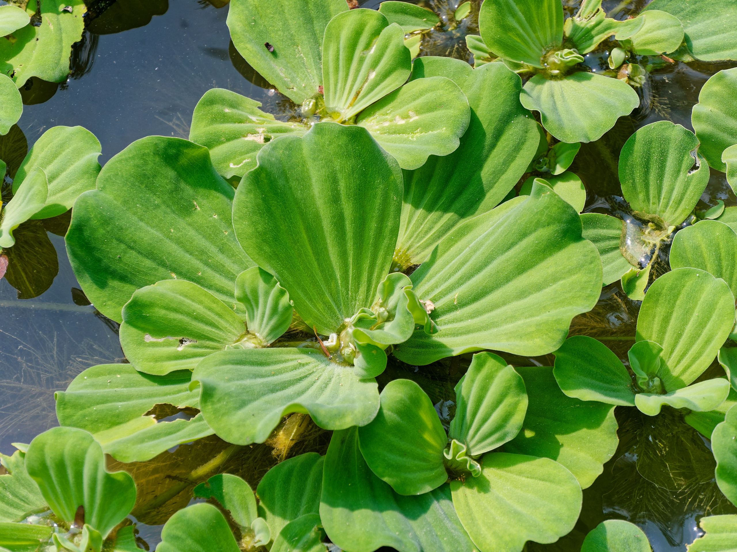 Хайнань 2026, Санья, Торговый центр «Joy City». Фотопрогулки по Миру