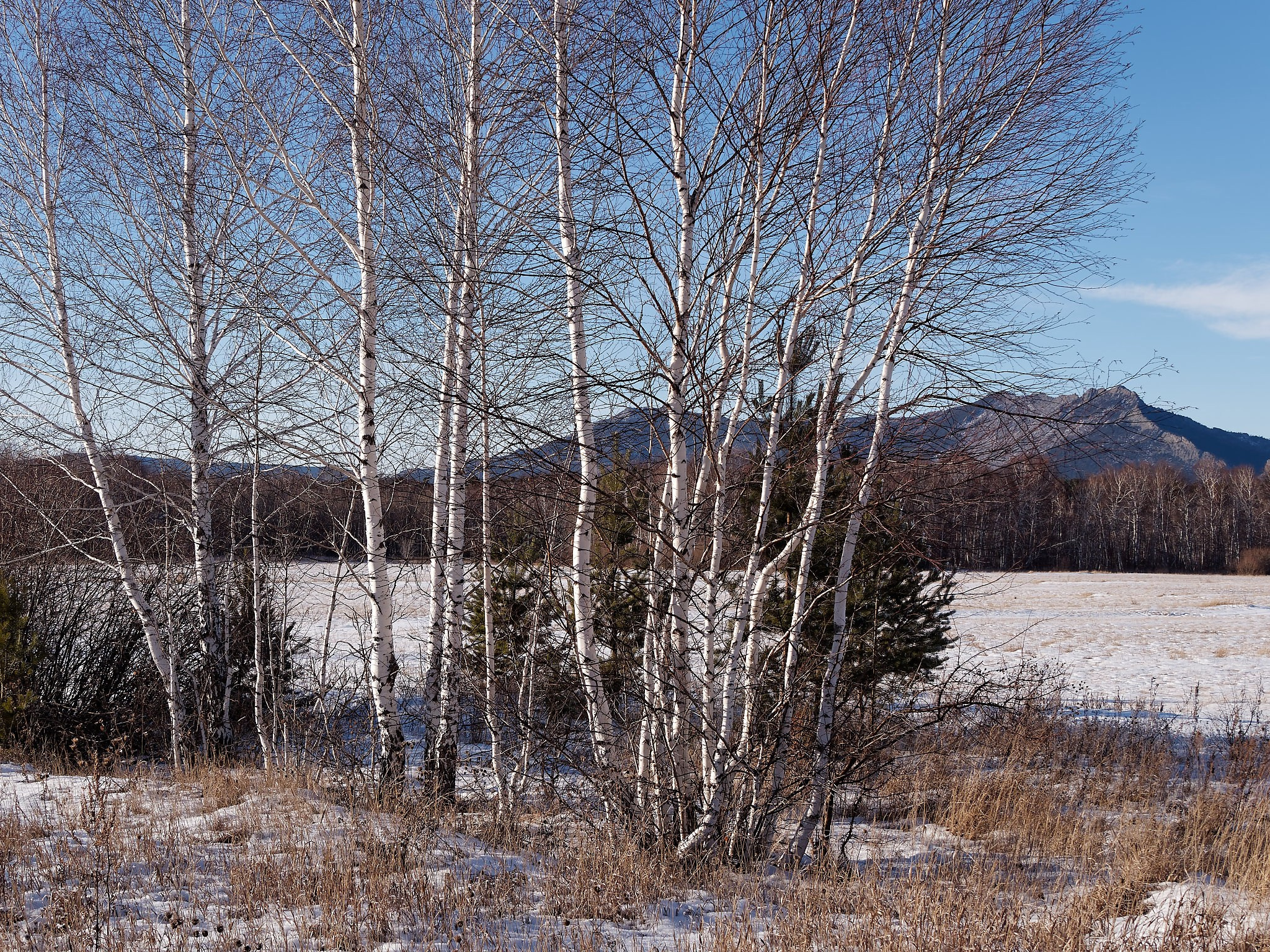 Боровое 2021 (из архива). Избранные фотографии