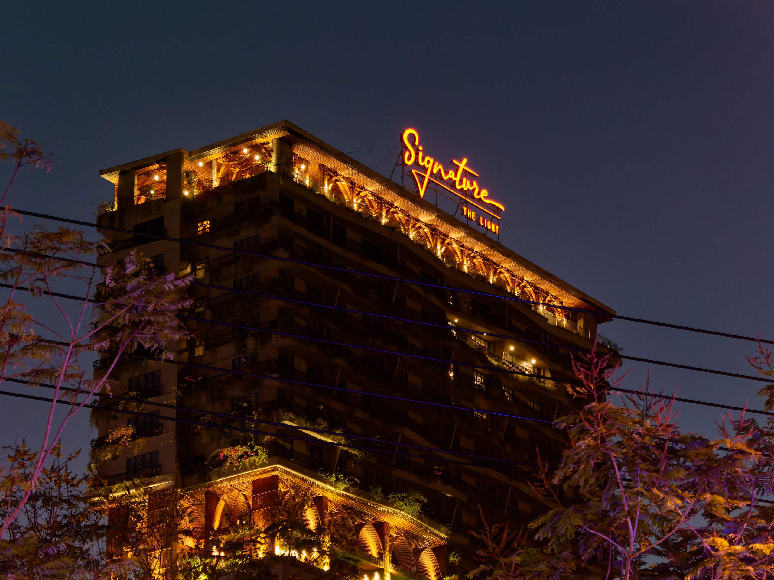 Нячанг 2025 (2). Избранные фотографии