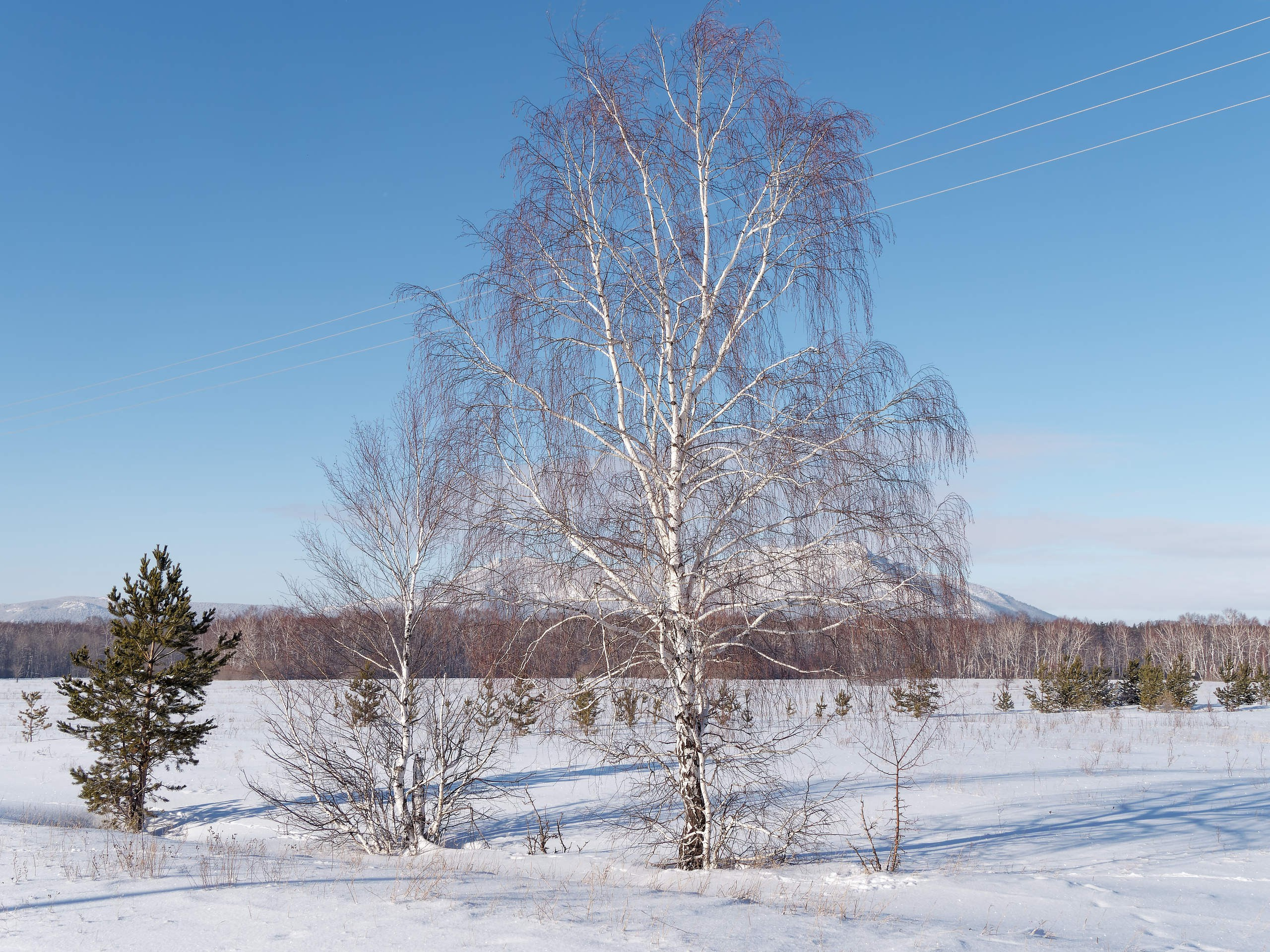Боровое 2024 (из архива). Избранные фотографии