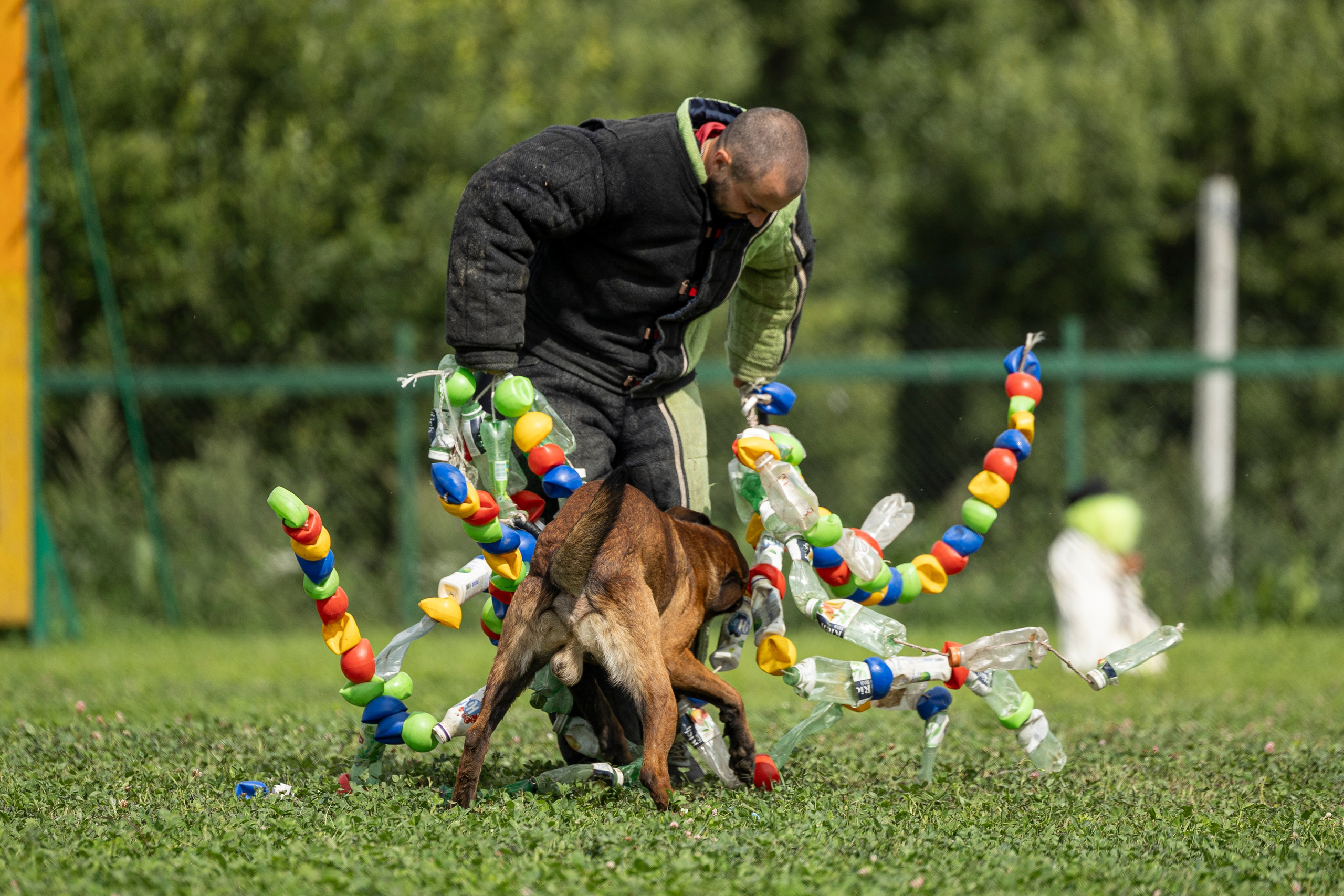 Соревнования по Мондьорингу г. Вологда 10-11.08.2024. Фотограф-анималист Анна Маринич