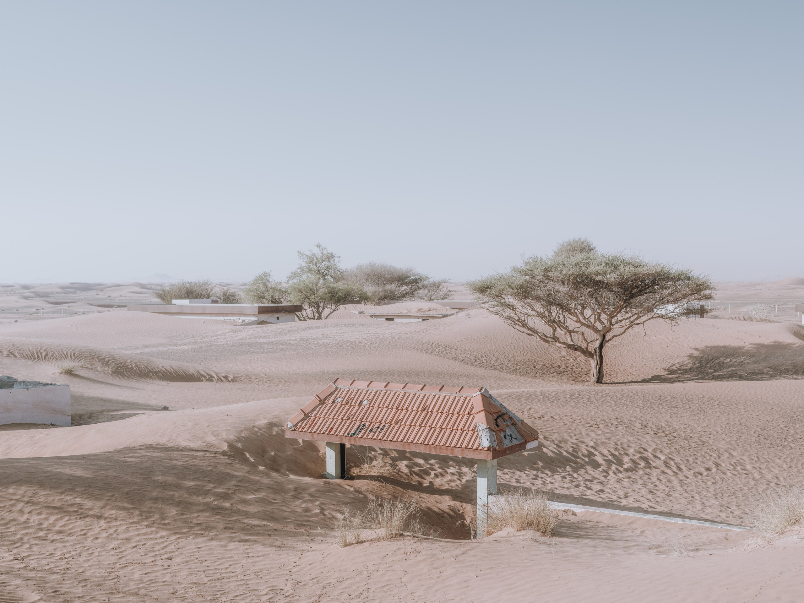 NOWHERE. Фотограф Шумков Дмитрий Snm981