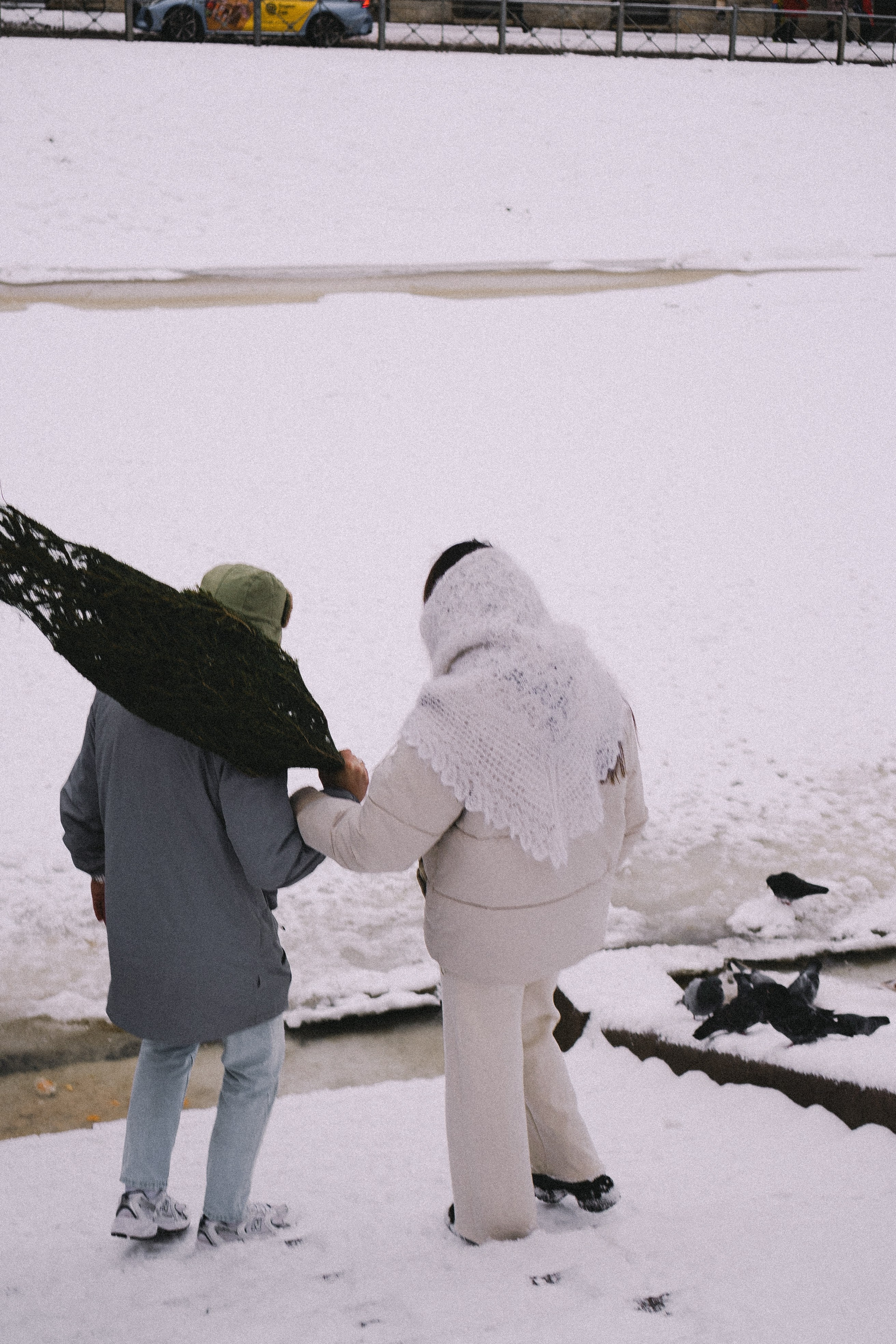 Зимняя история. Профессиональный фотограф, Санкт-Петербург — Виктория Богомолова