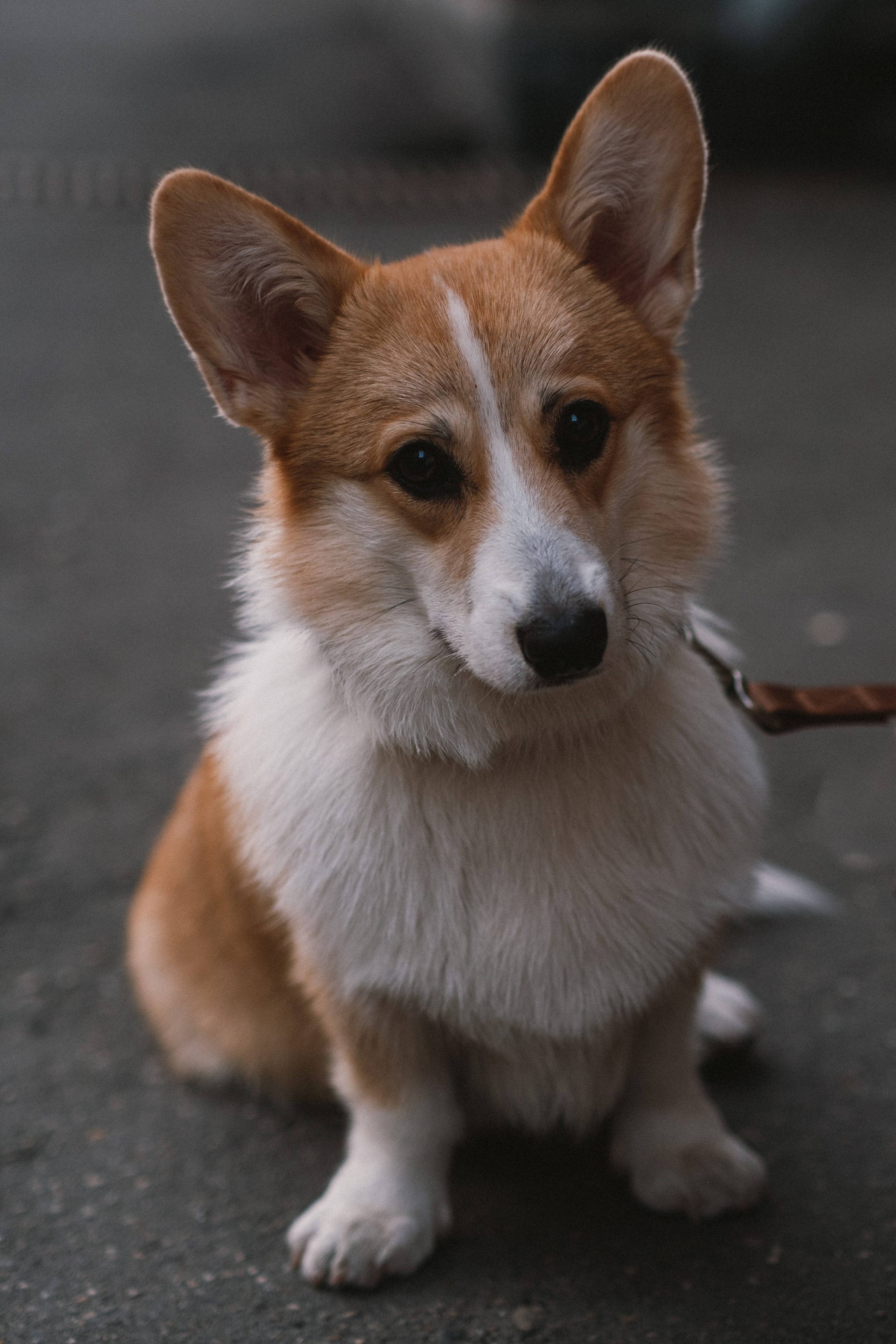 Love story. Фотограф в Москве Журав Олеся