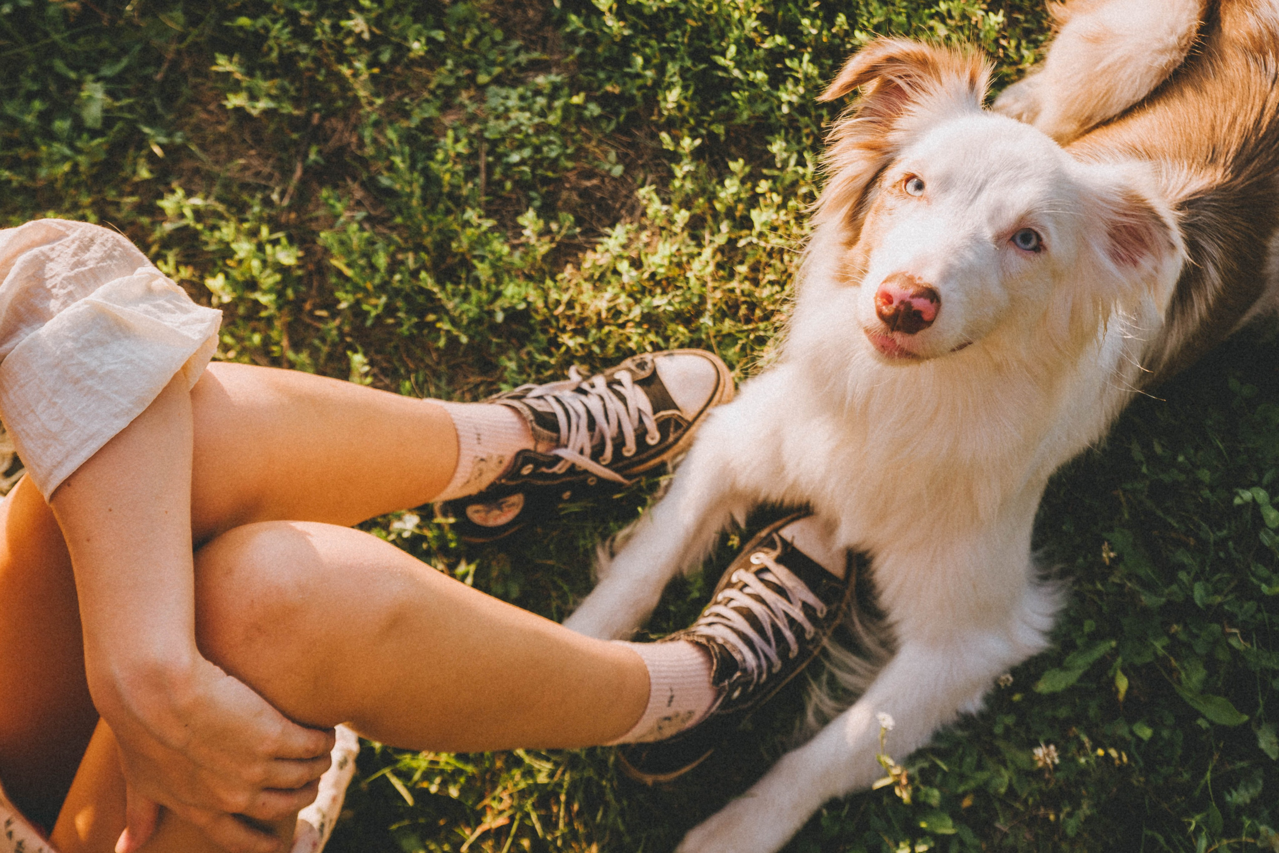 Лиза и Айви. Главная