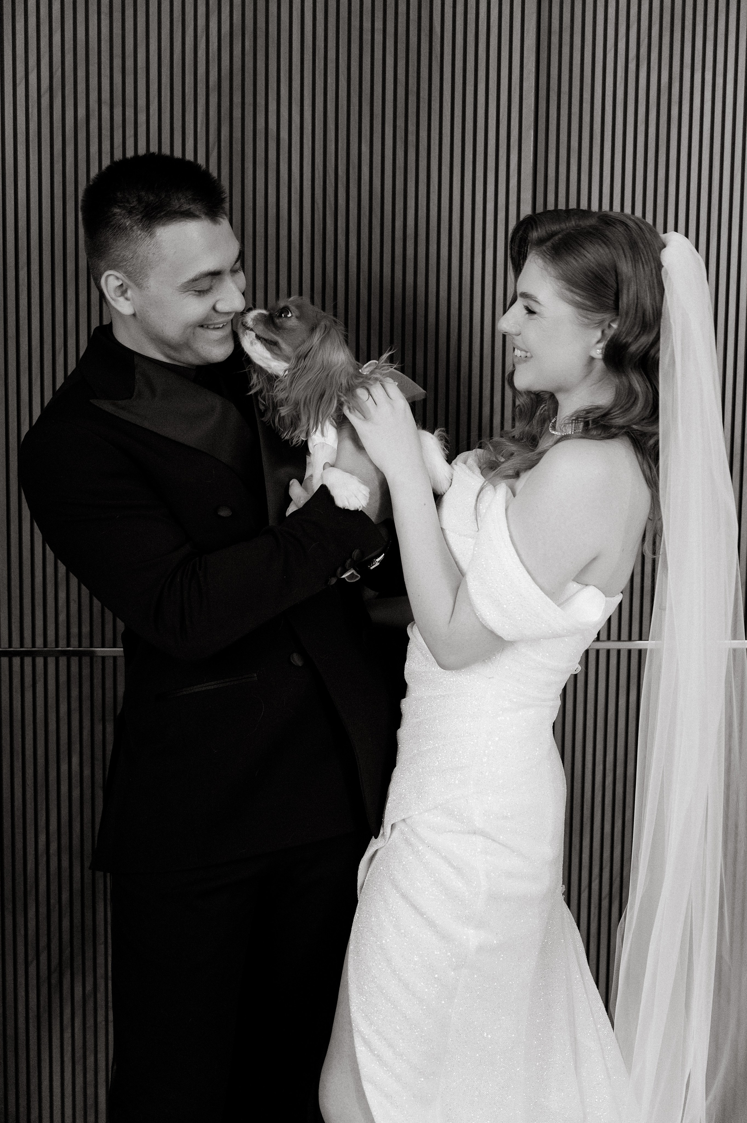 Алексей и Анастасия. Свадебный фотограф и видеограф