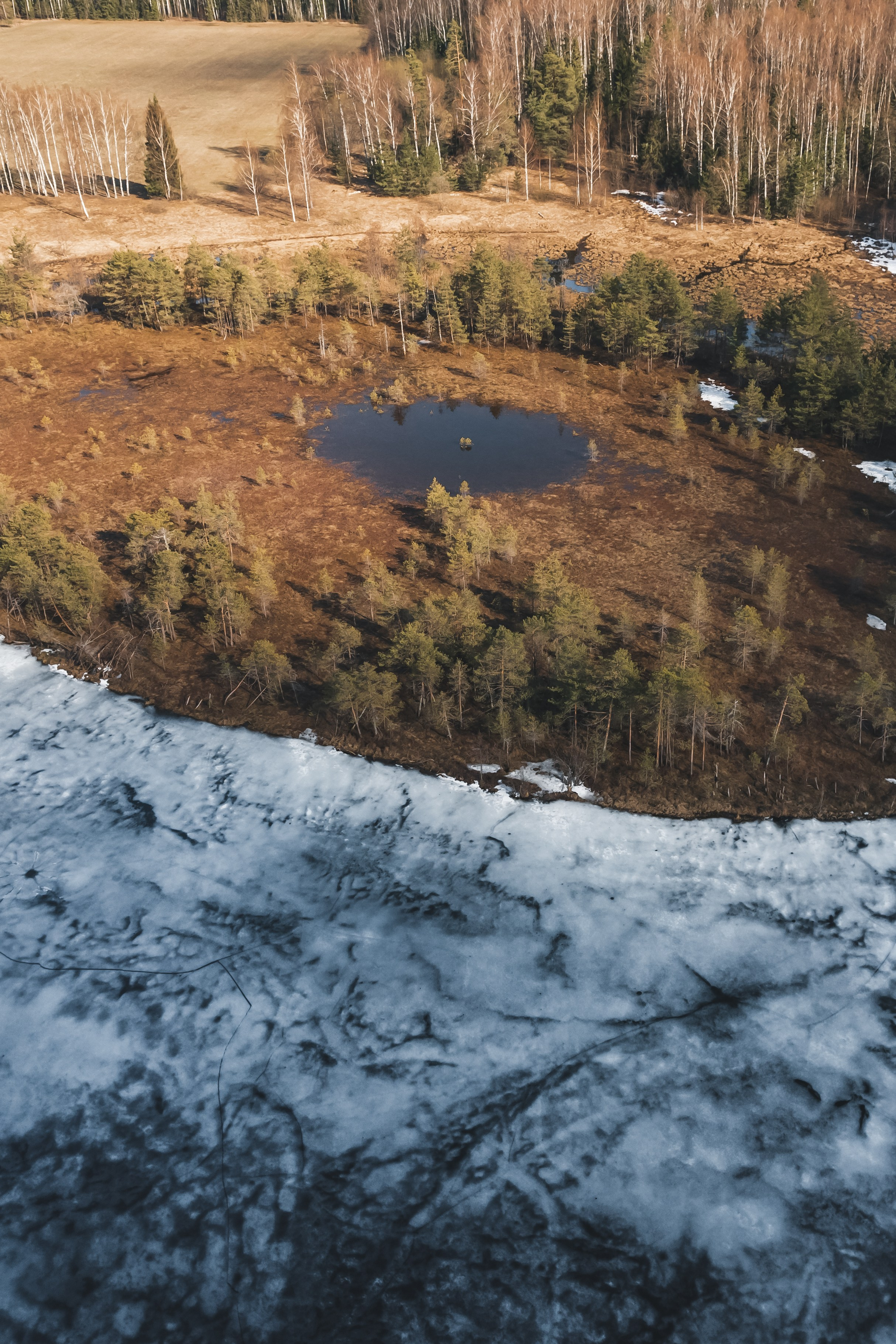 ПРИРОДА. Фотограф Александр Бормотин