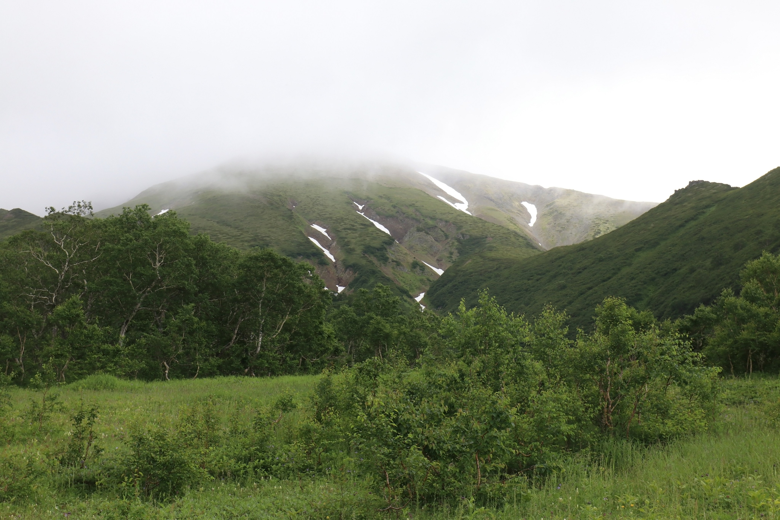 Камчатка и о. Парамушир. Июль 2024. Путешественник-фотограф из Санкт-Петербурга Татьяна Свистулина