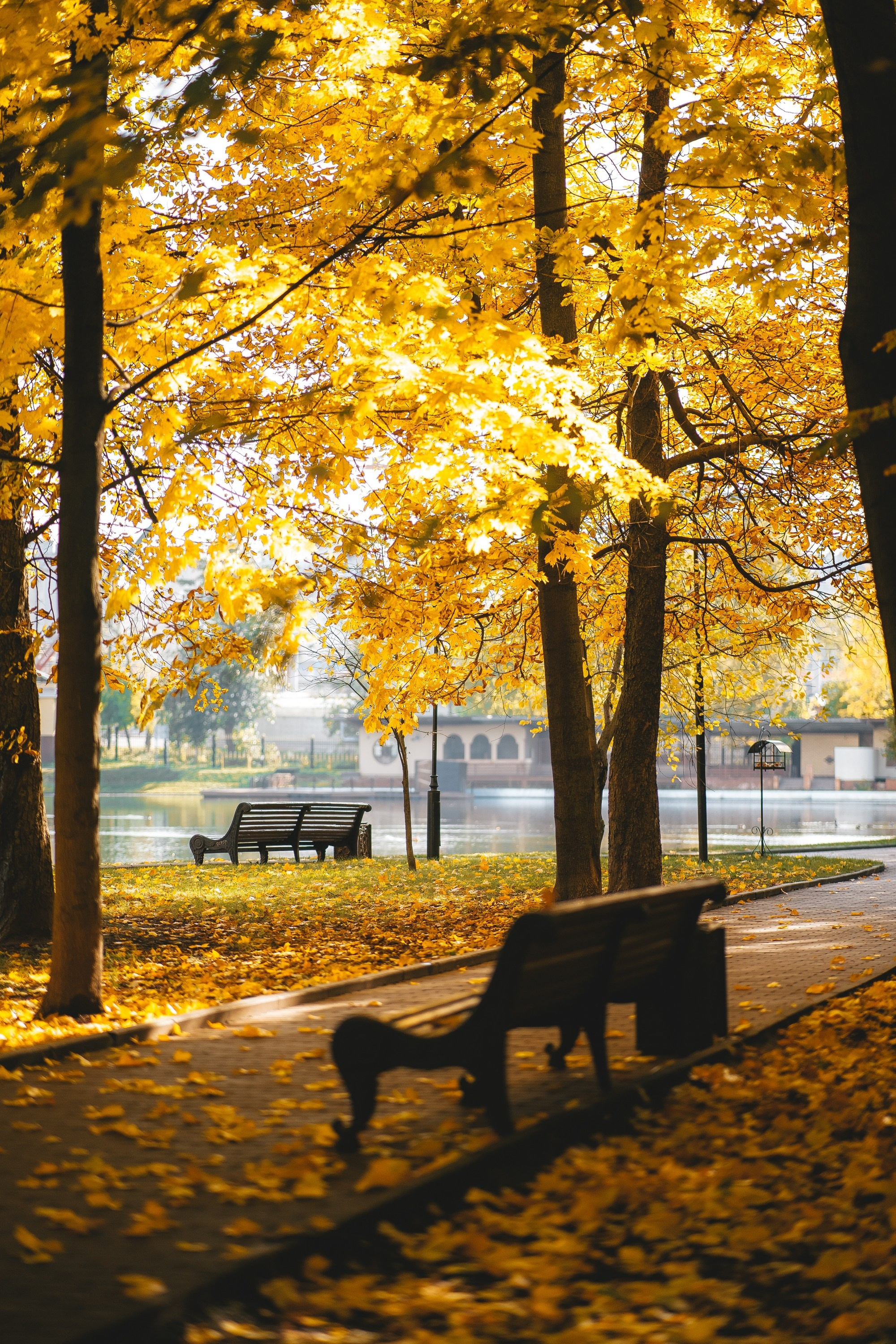 Москва. Фотограф Екатерина Катунова | Москва