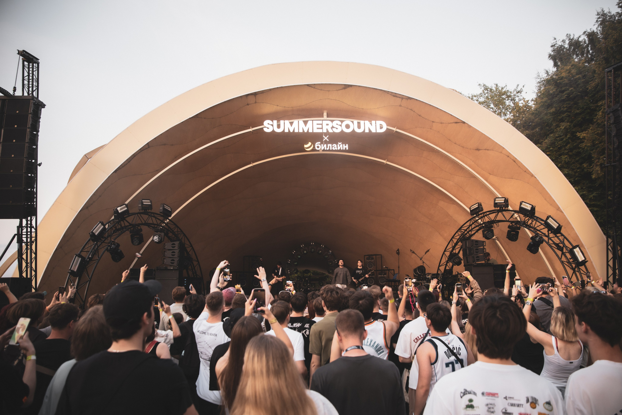 Saluki. Фотограф Нижний Новгород — Дмитрий Грехов