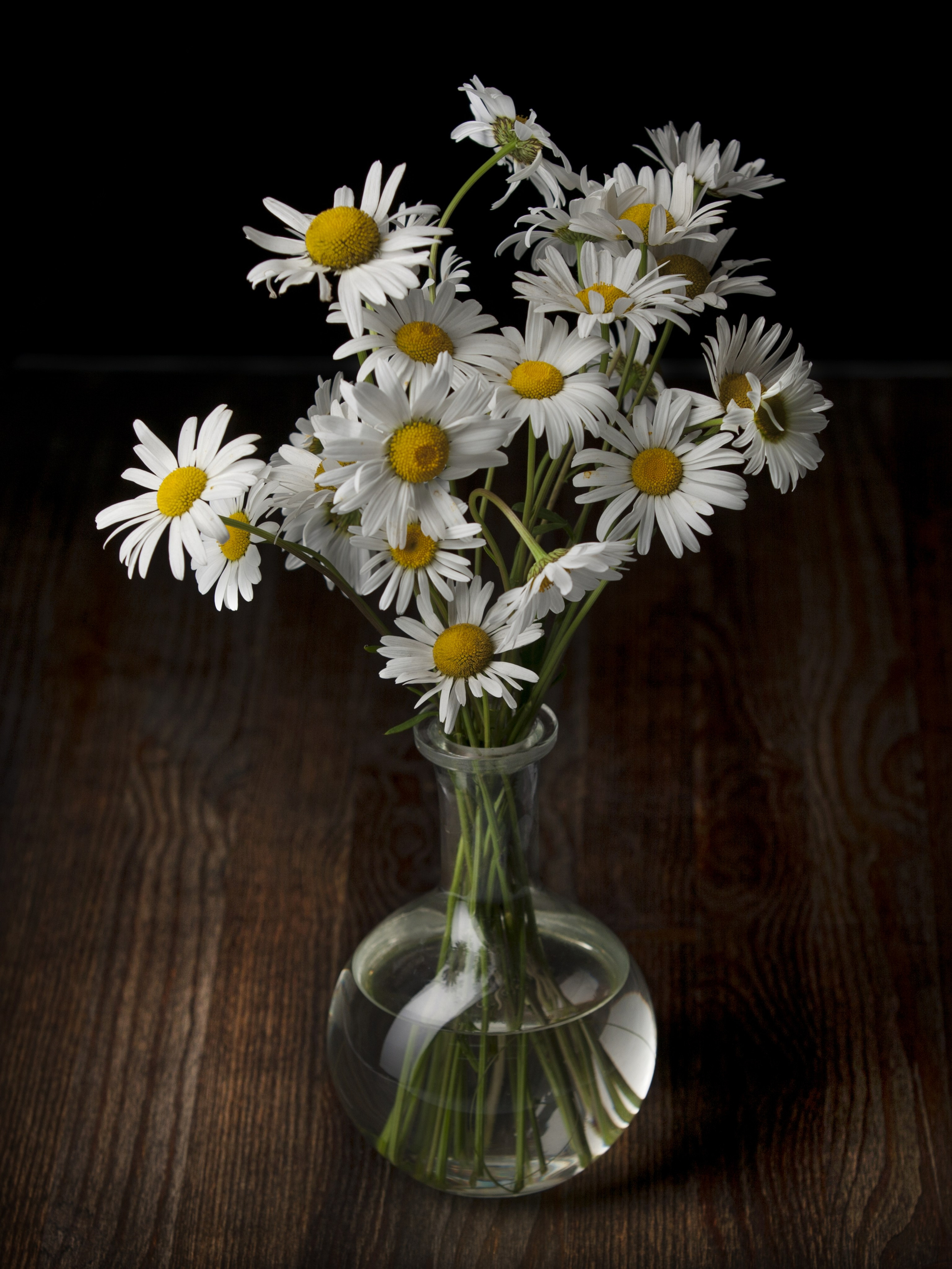 Цветы. Фотограф Мария Кольцова