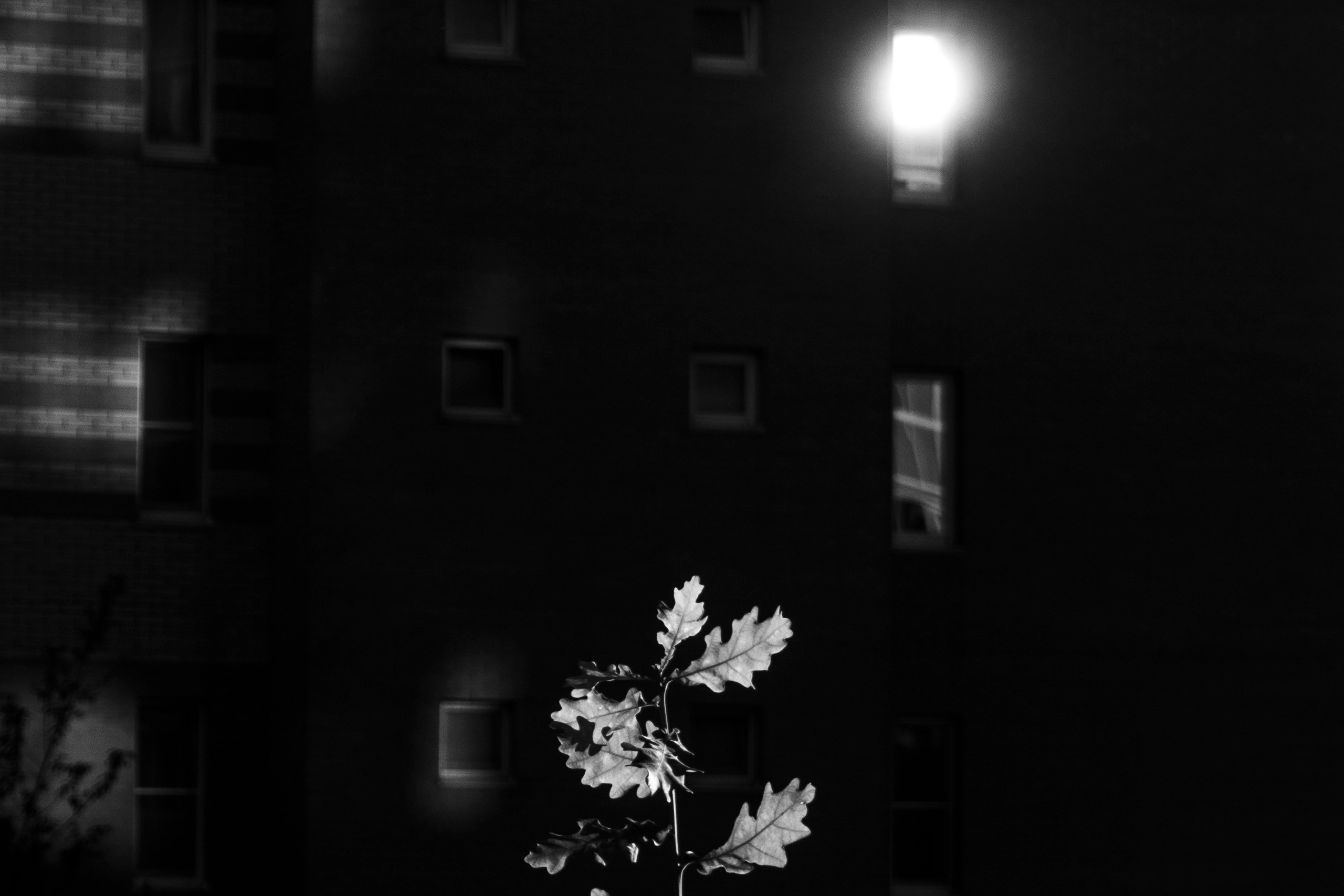 Разное неважное. Фотограф в Москве Алейникова Евгения