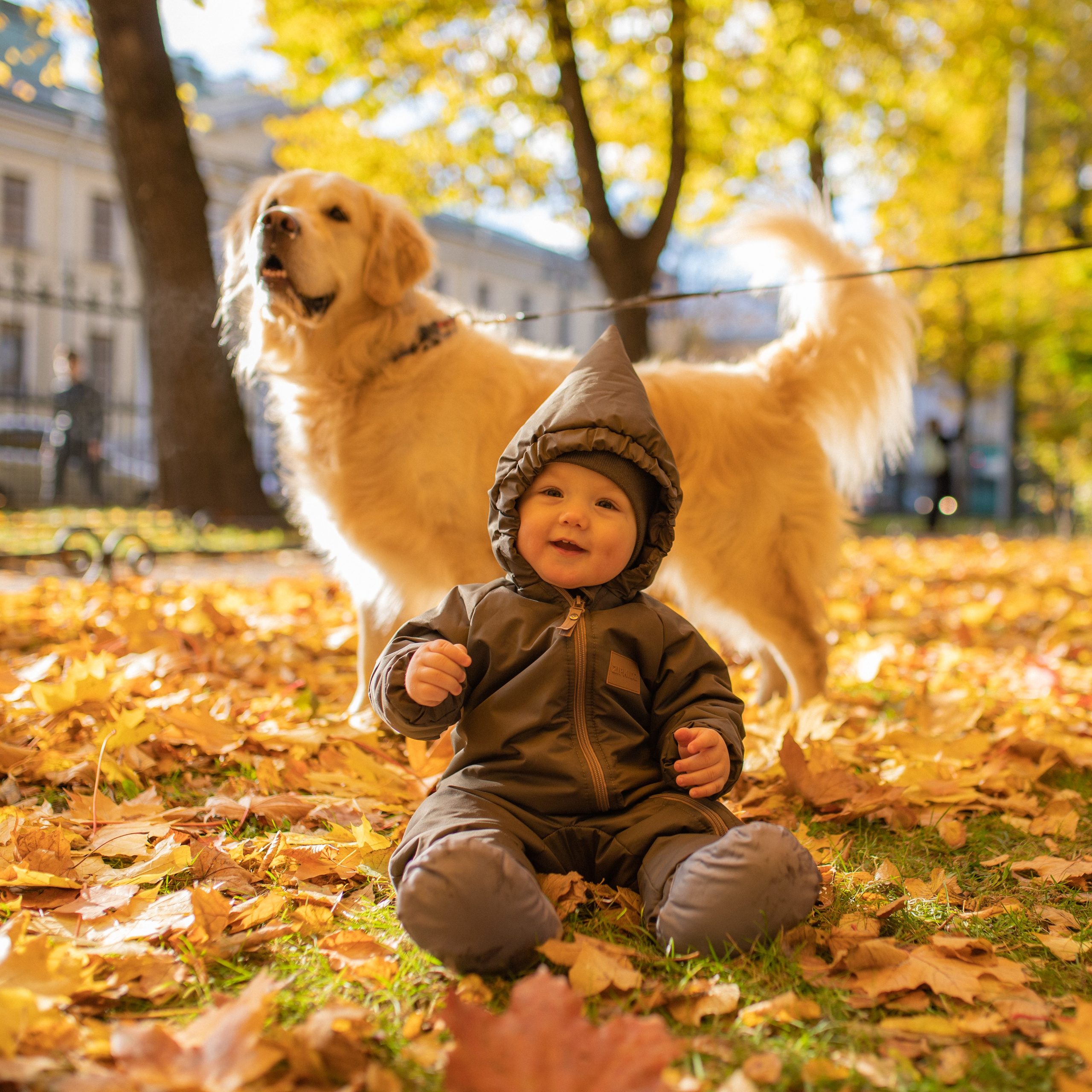 Андрей, Саша и все-все-все