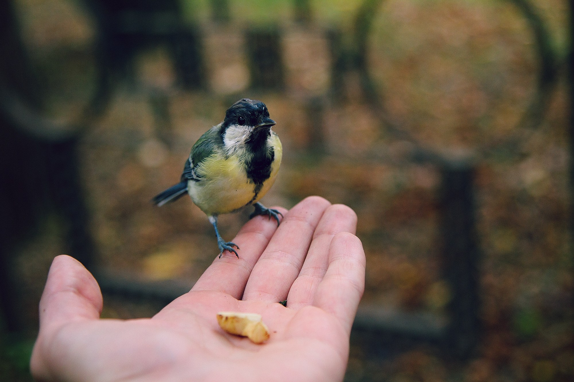 Фотограф Алексей Седойкин