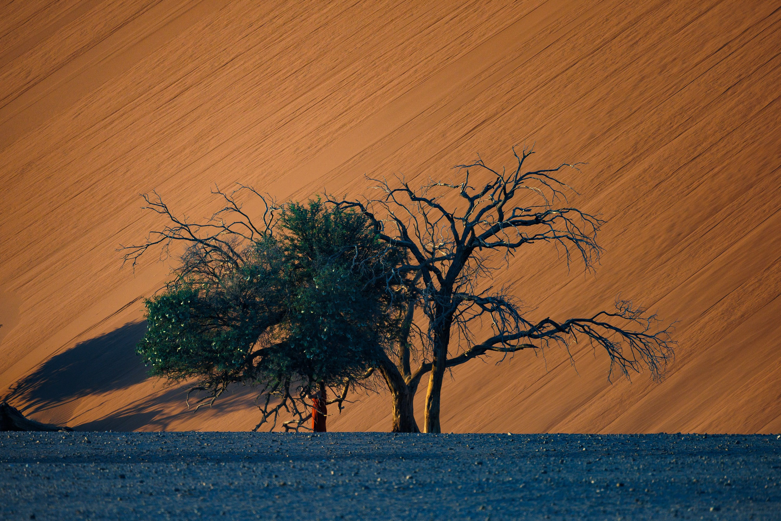 НАМИБИЯ. Роадтрип