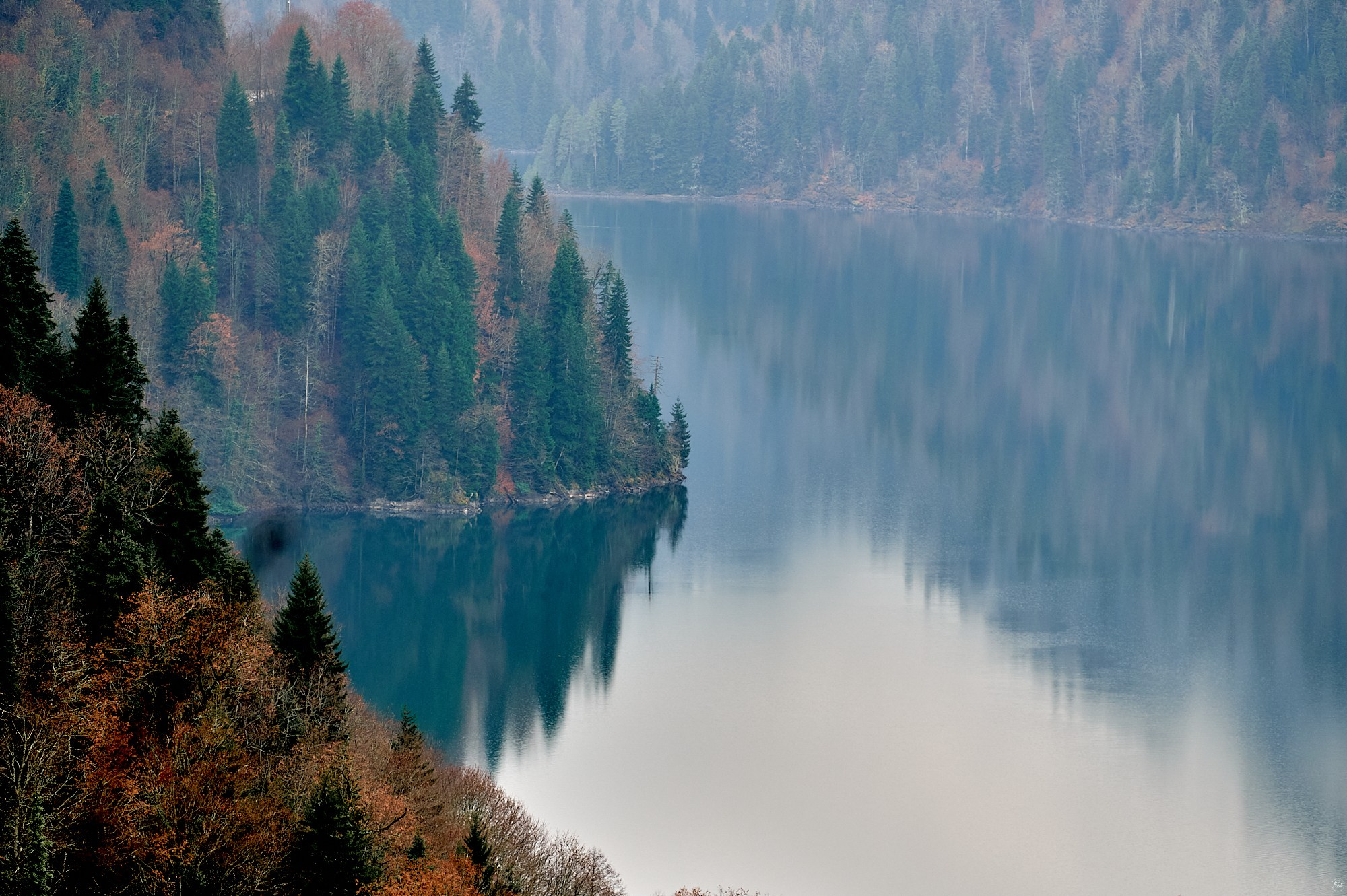 Озеро Рица, Абхазия. Декабрь 2024. Фотографии отовсюду и обо всем