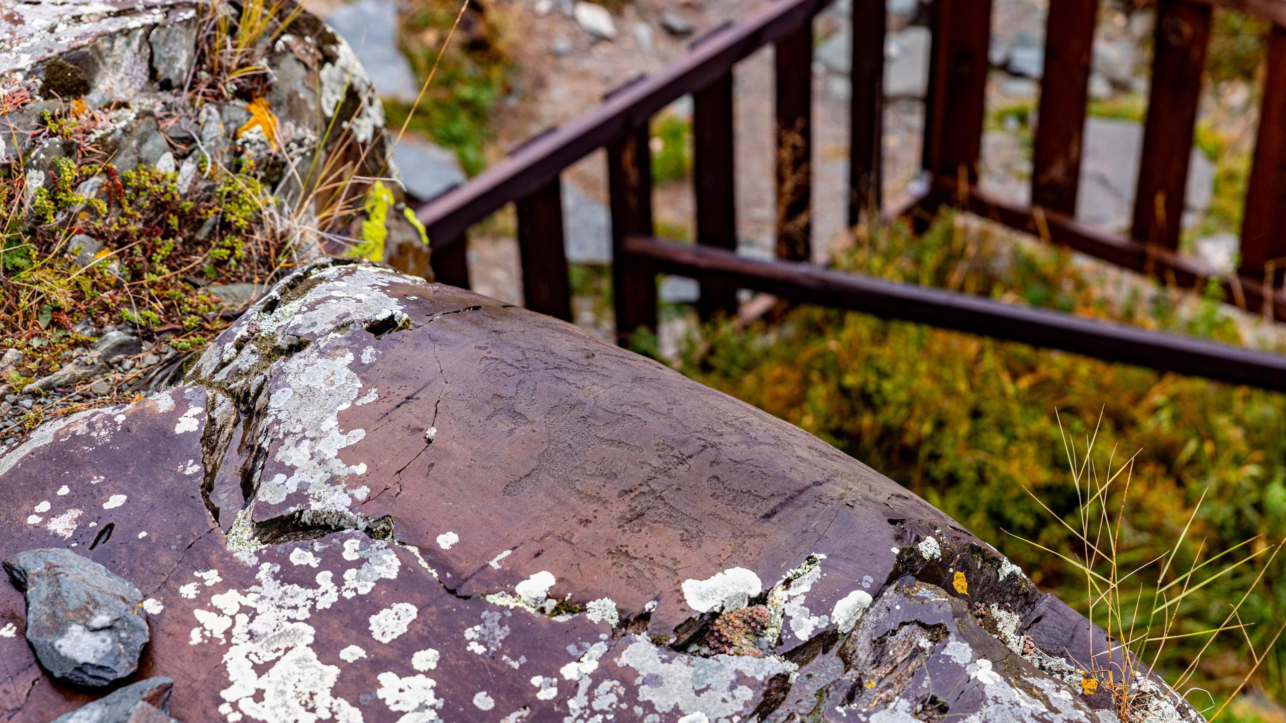 2025 09 Алтай. Чуйский тракт. Фотографии