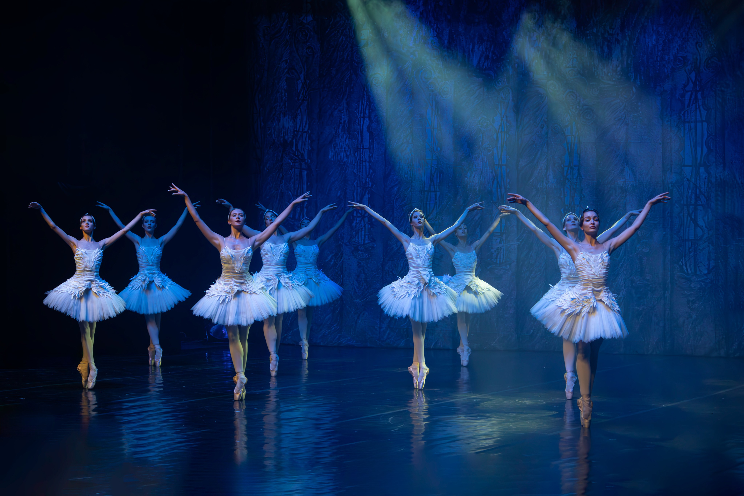 Лебединое озеро. Имперский русский балет. Фотограф в Нижнем Новгороде Екатерина Хисматулина