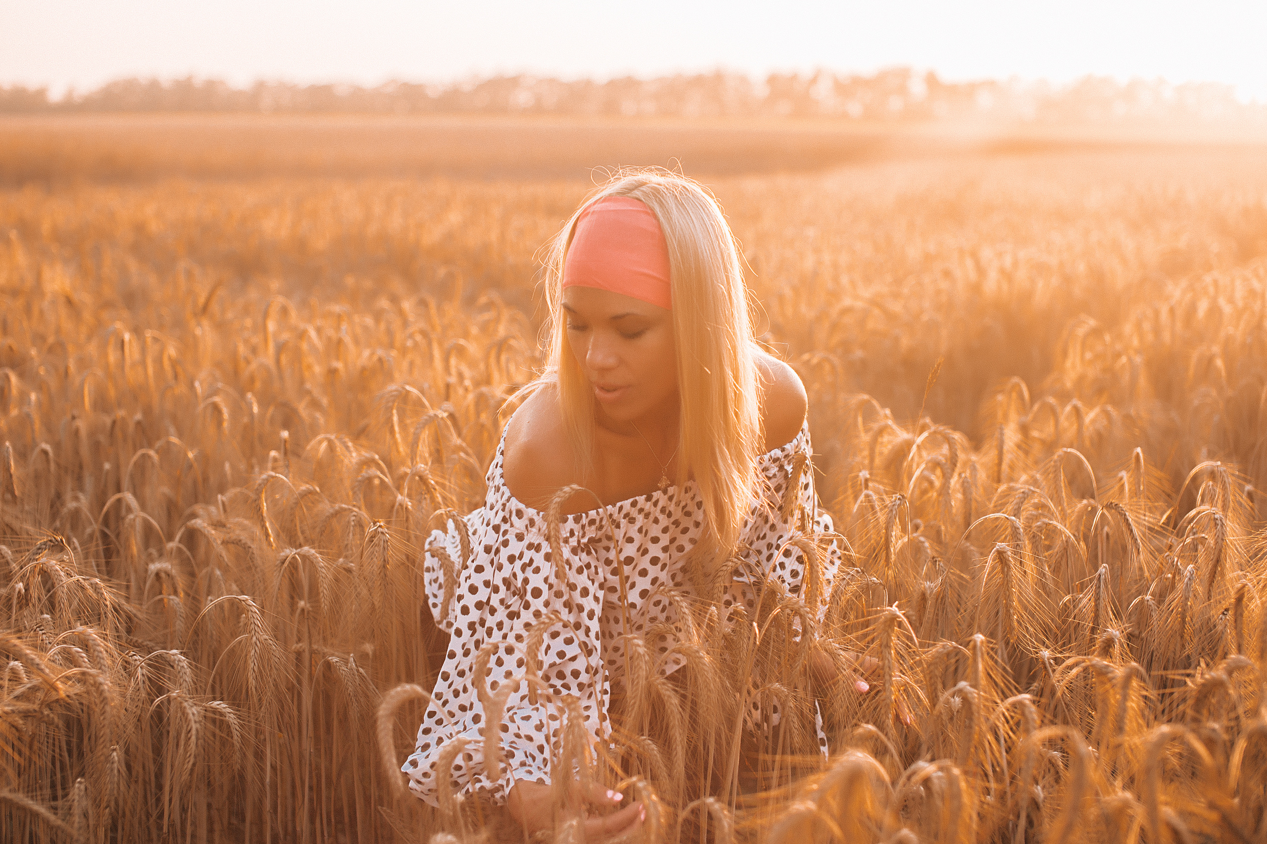 Пшеничное поле. Свадебный и семейный фотограф/видеограф в Краснодаре Наталья Осинская