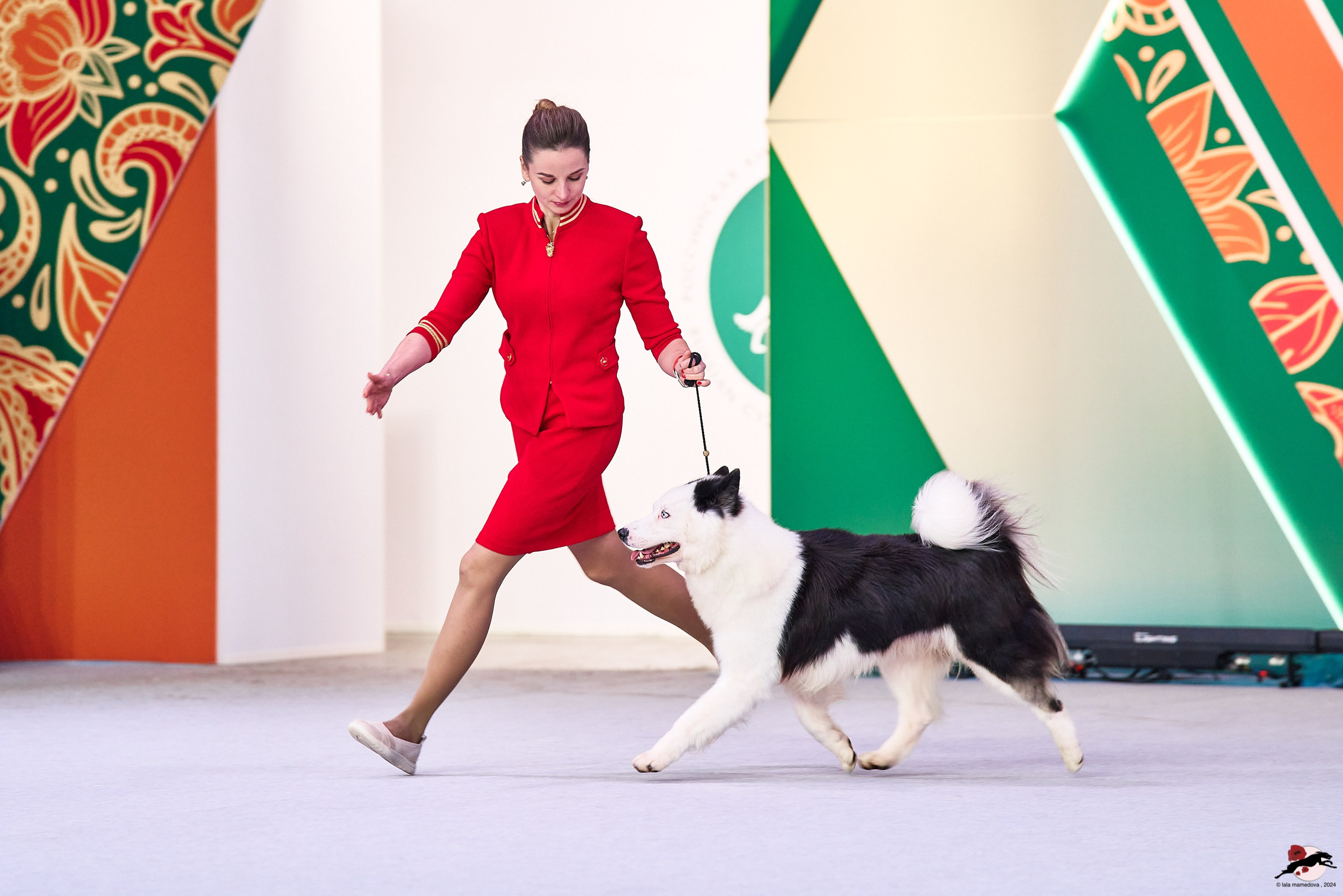 16.11.2024 «ЕВРАЗИЯ. КУБОК ПРЕЗИДЕНТА РКФ 2024»