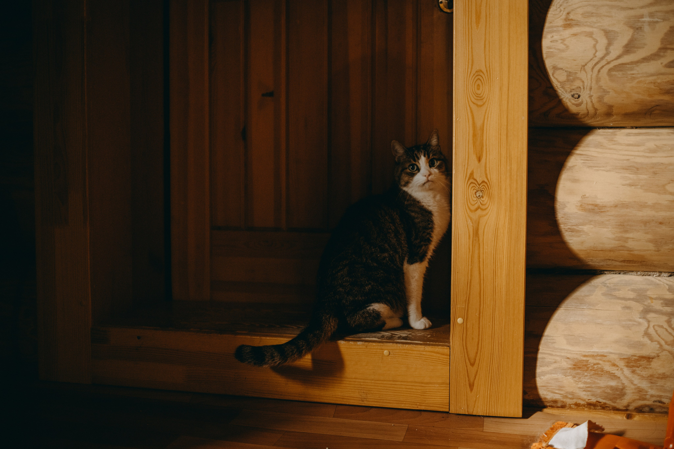 Дом у реки. Фотограф — Анималист | Санкт-Петербург