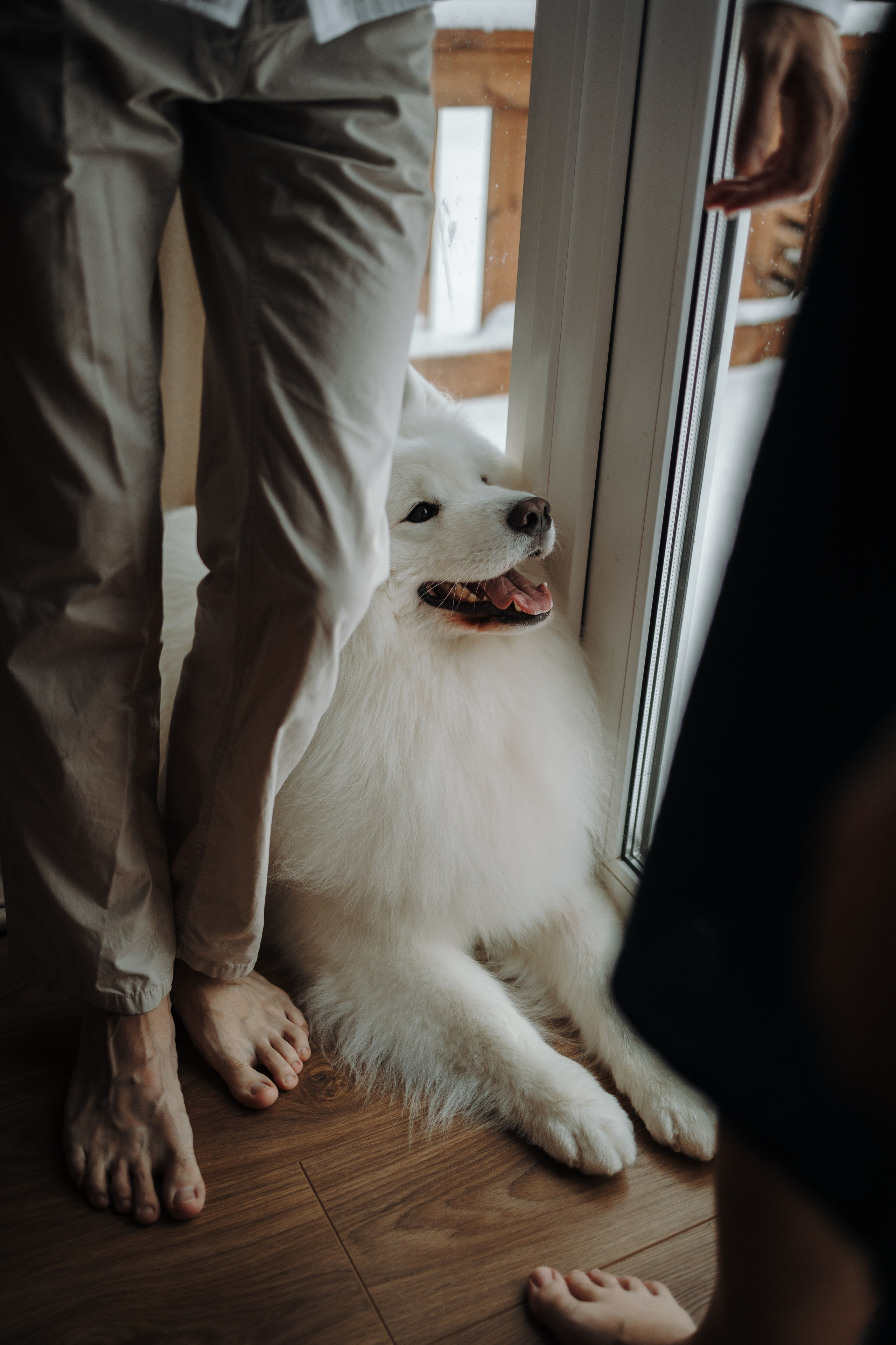 Маркус и его семья. Фотограф — Анималист | Санкт-Петербург