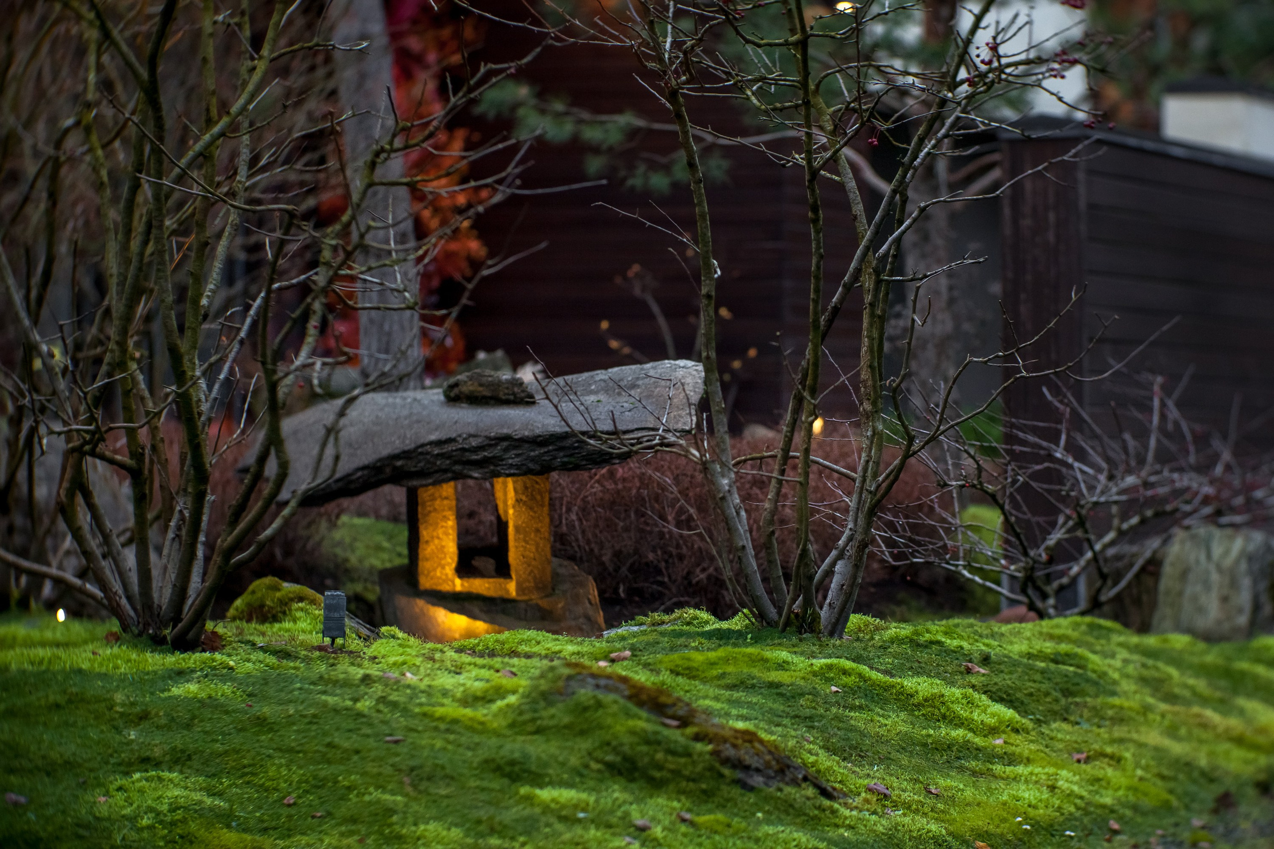 Сад «Сиреневый туман» (автор сада: Елена Асташкина). Туманов Виталий — фотограф Москва