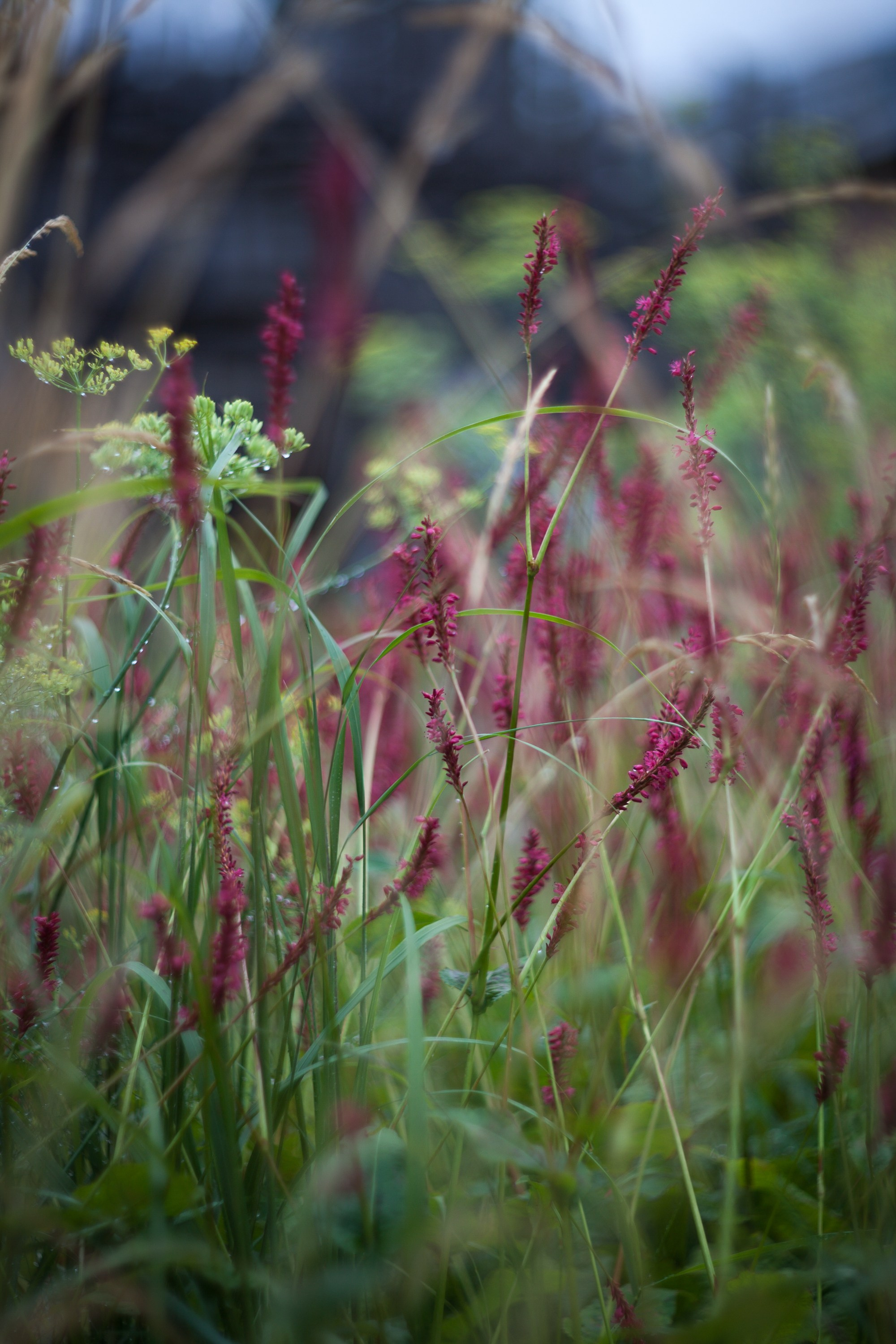 Новая Голландия — объект культурного наследия народов РФ федерального значения. Туманов Виталий — фотограф Москва