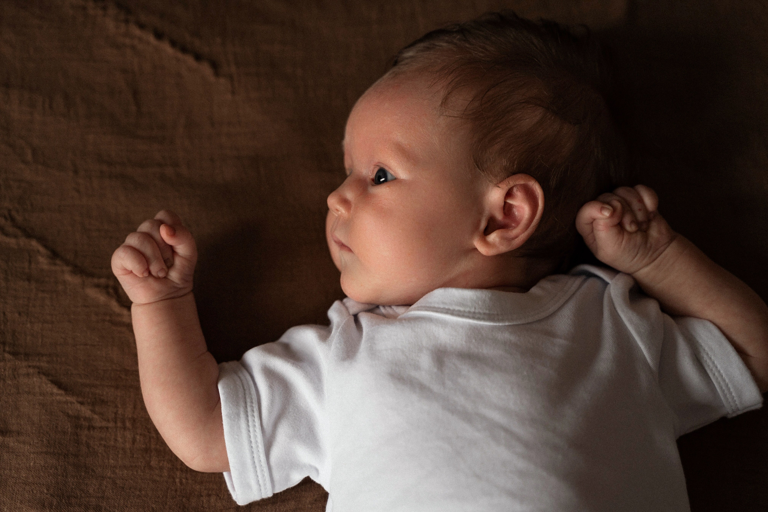 Семья Долмонего. Фотограф Алина Филимонова Тверь