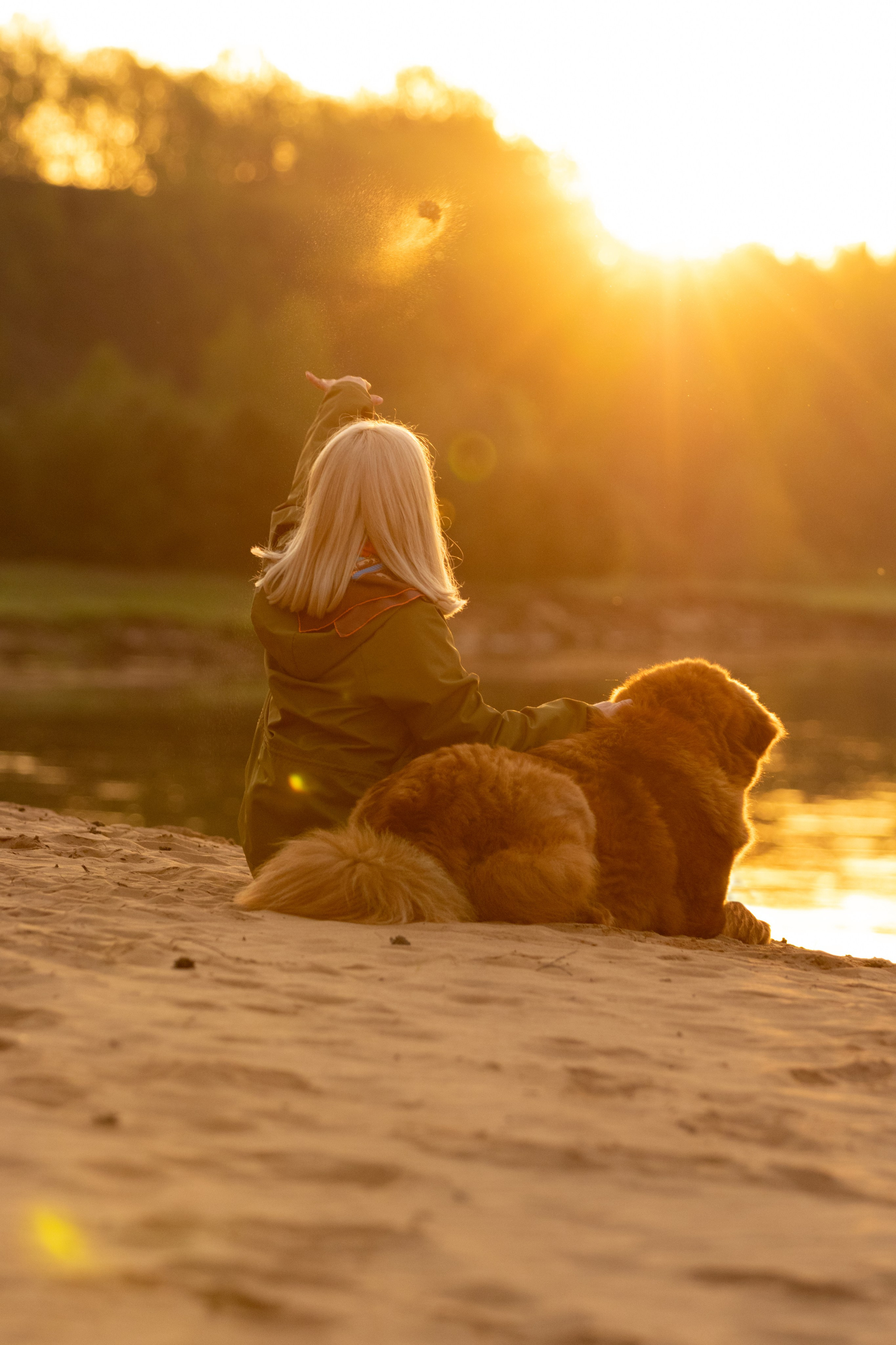 Прогулки. Фотограф — анималист в Москве и области Ольга Петракова