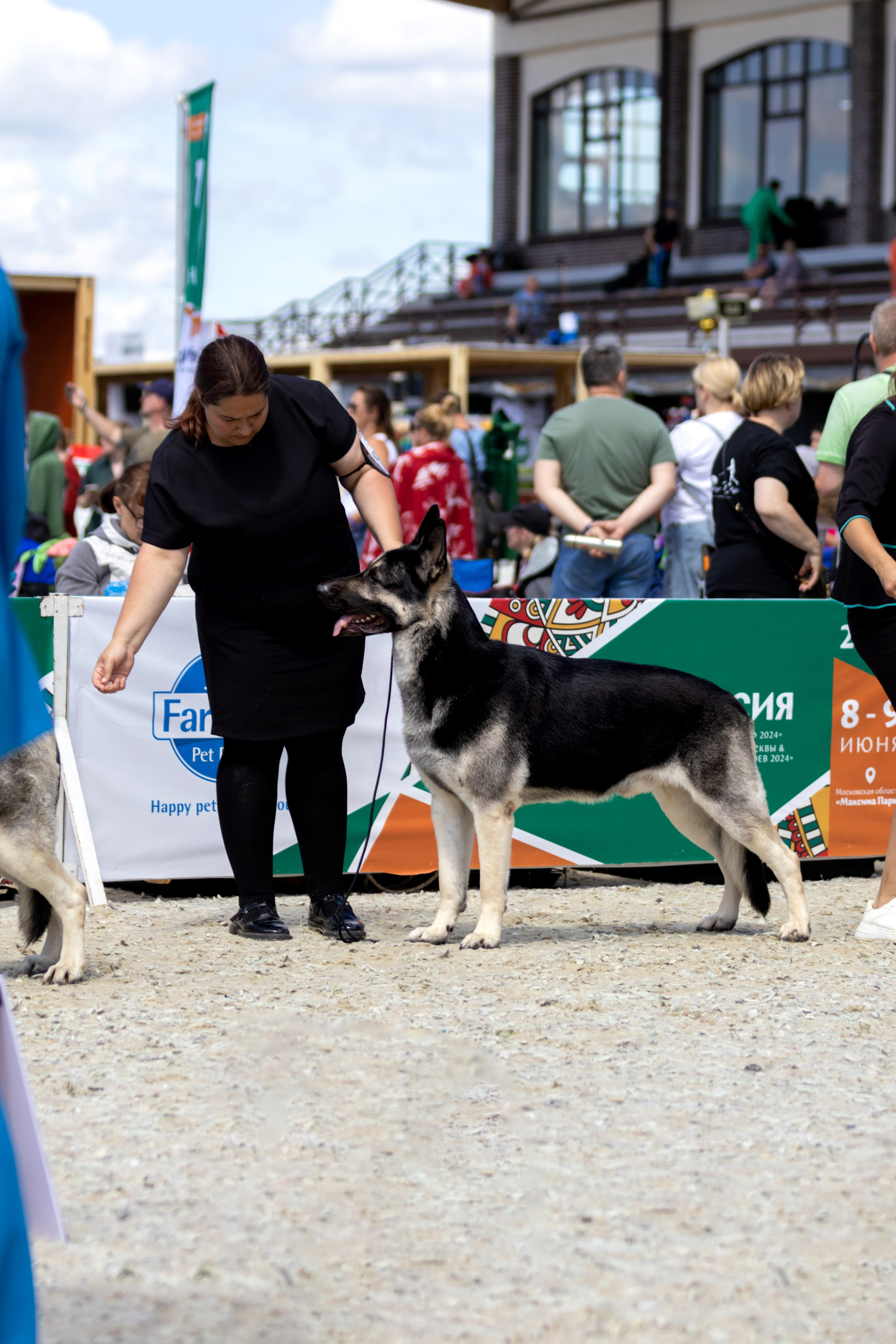 Выставки. Фотограф — анималист в Москве и области Ольга Петракова