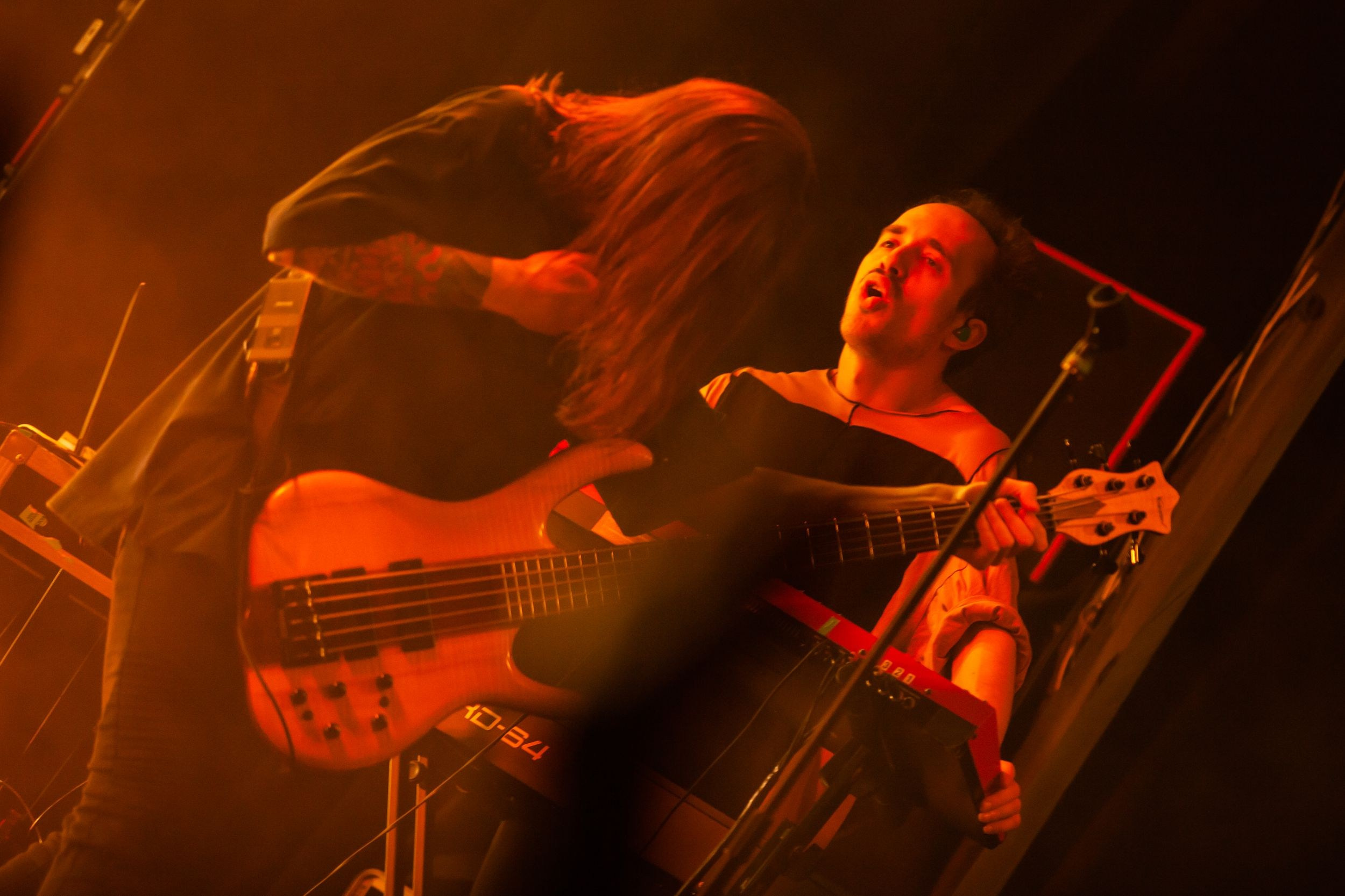 Animal ДжаZ. Репортажный фотограф Алексей Пирязев