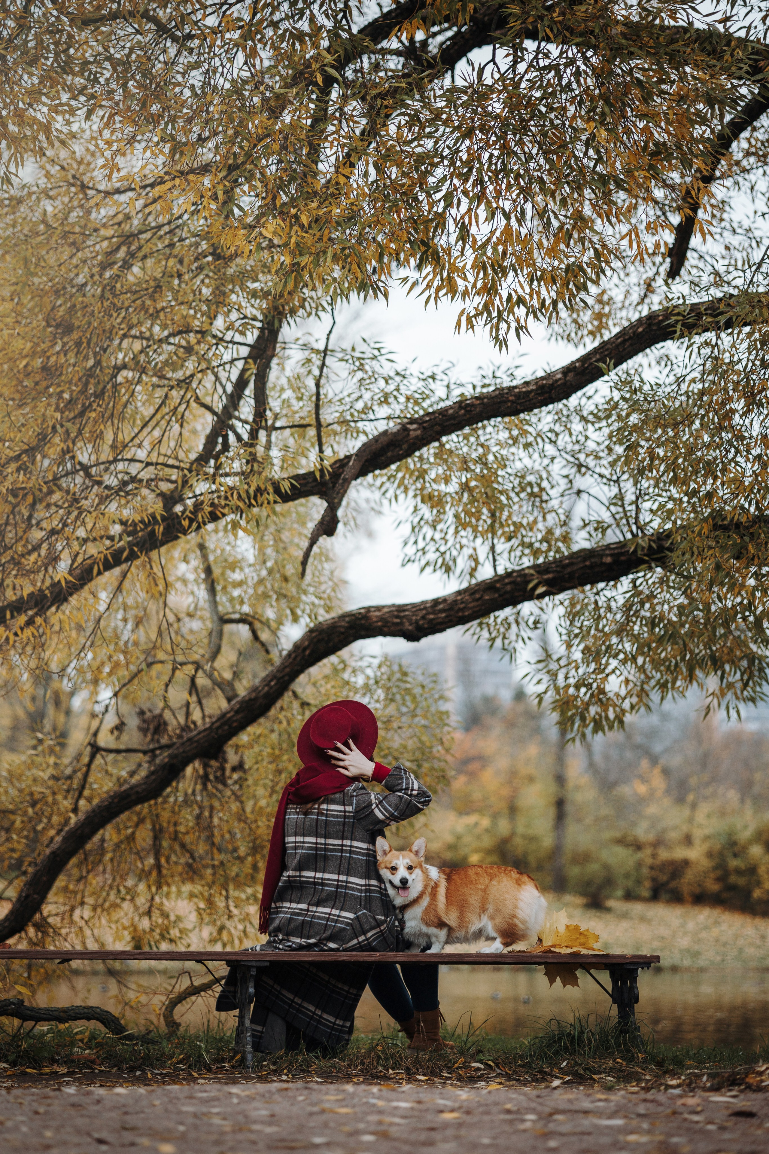Юля и Терри. Фотограф — Анималист | Санкт-Петербург