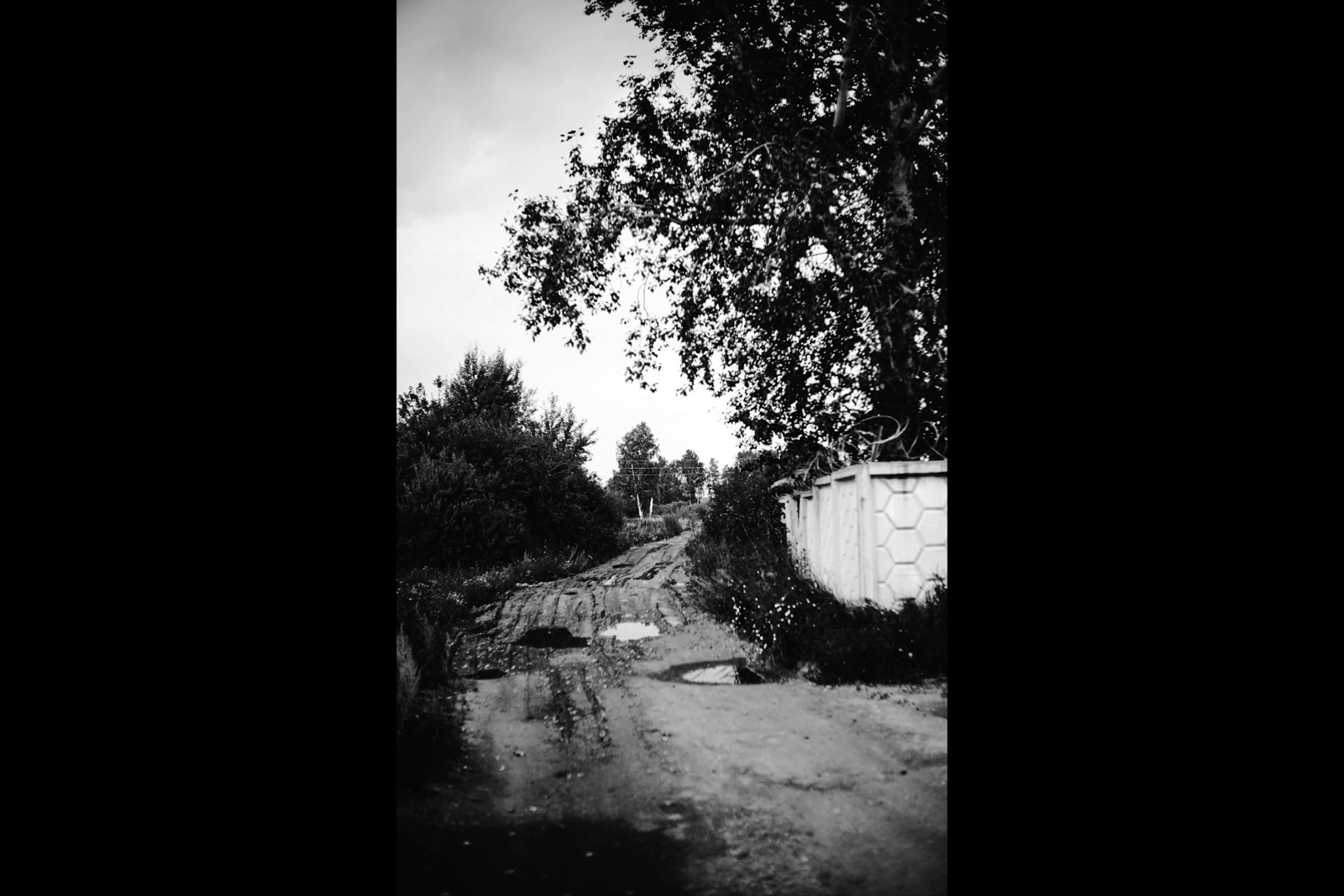 Videos. Whoii art