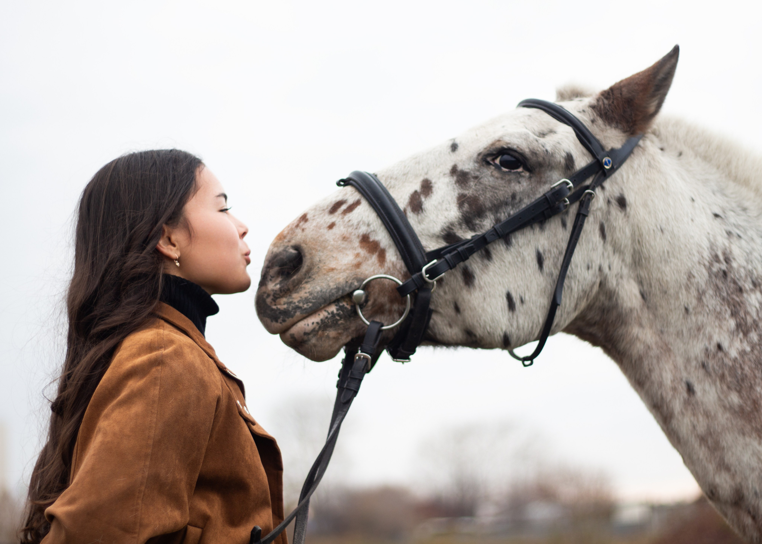 София, Соперник и Чубарик. Фотограф в Иркутске, Харитонова Елизавета