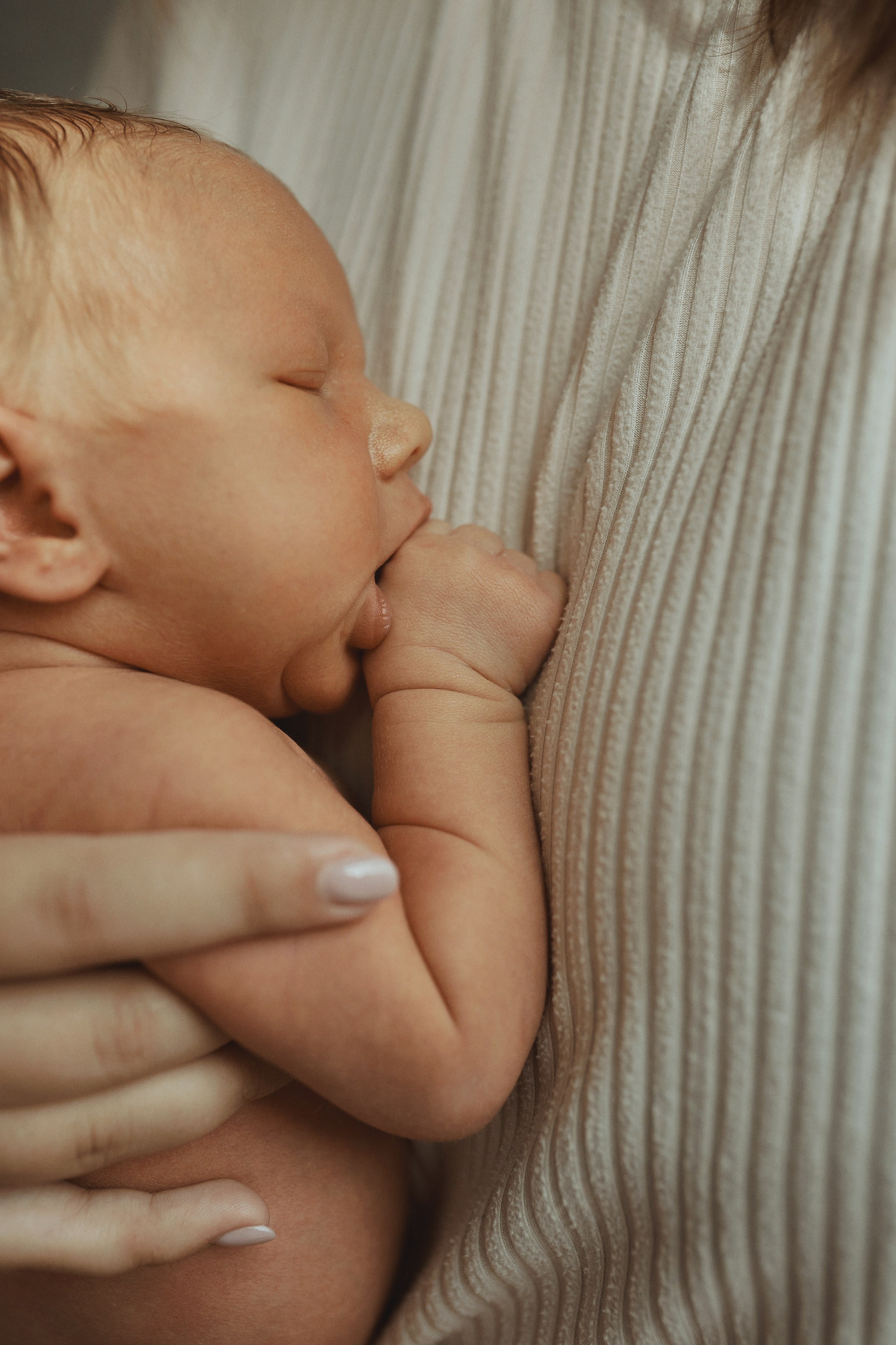 Артемчик. Семейный фотограф в Новосибирске Екатерина Сафронова