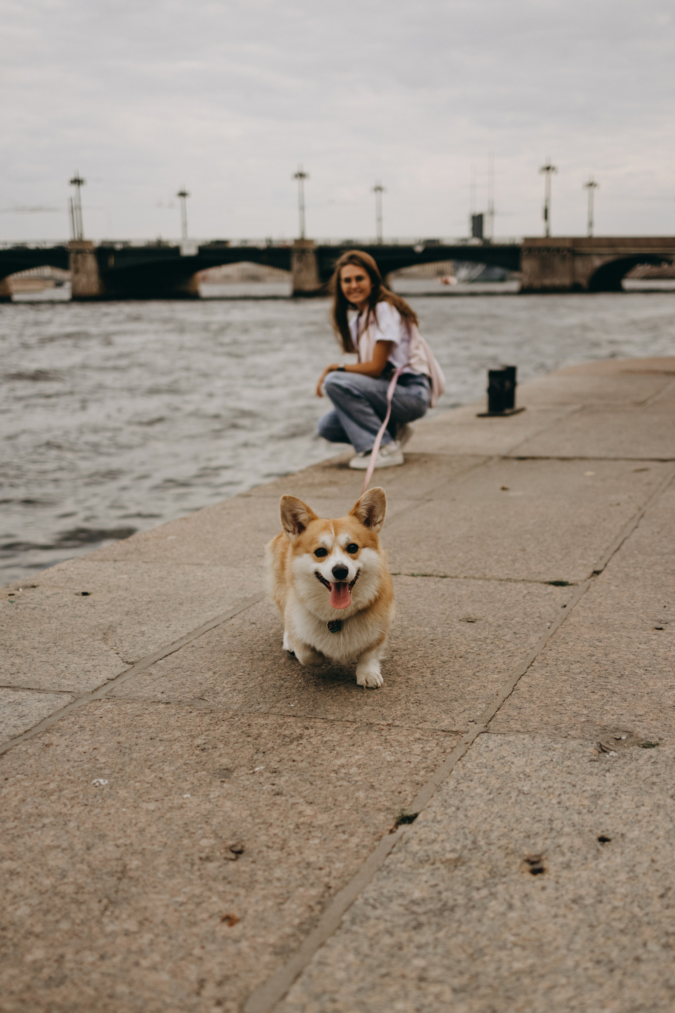 Лиза и Бакс. Фотограф — Анималист | Санкт-Петербург