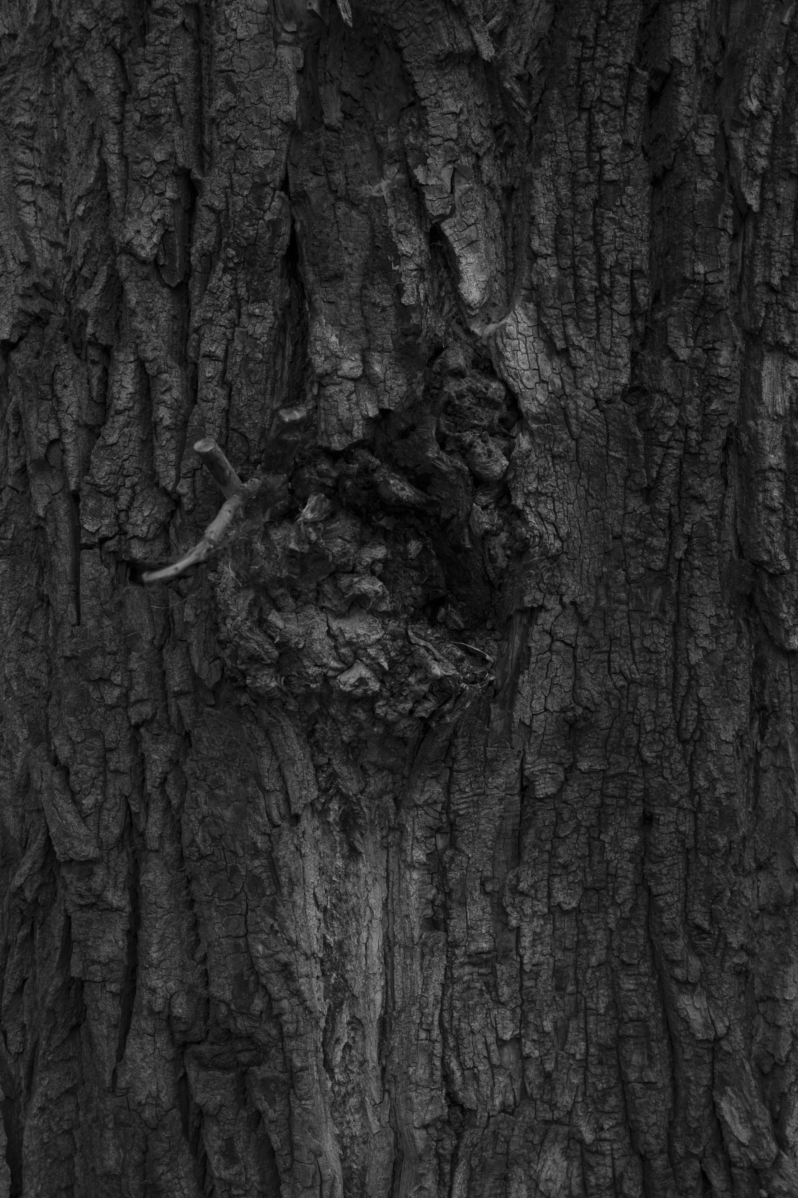 Прогулка по Екатеринбургу. Денис Марков — фотограф в Екатеринбурге