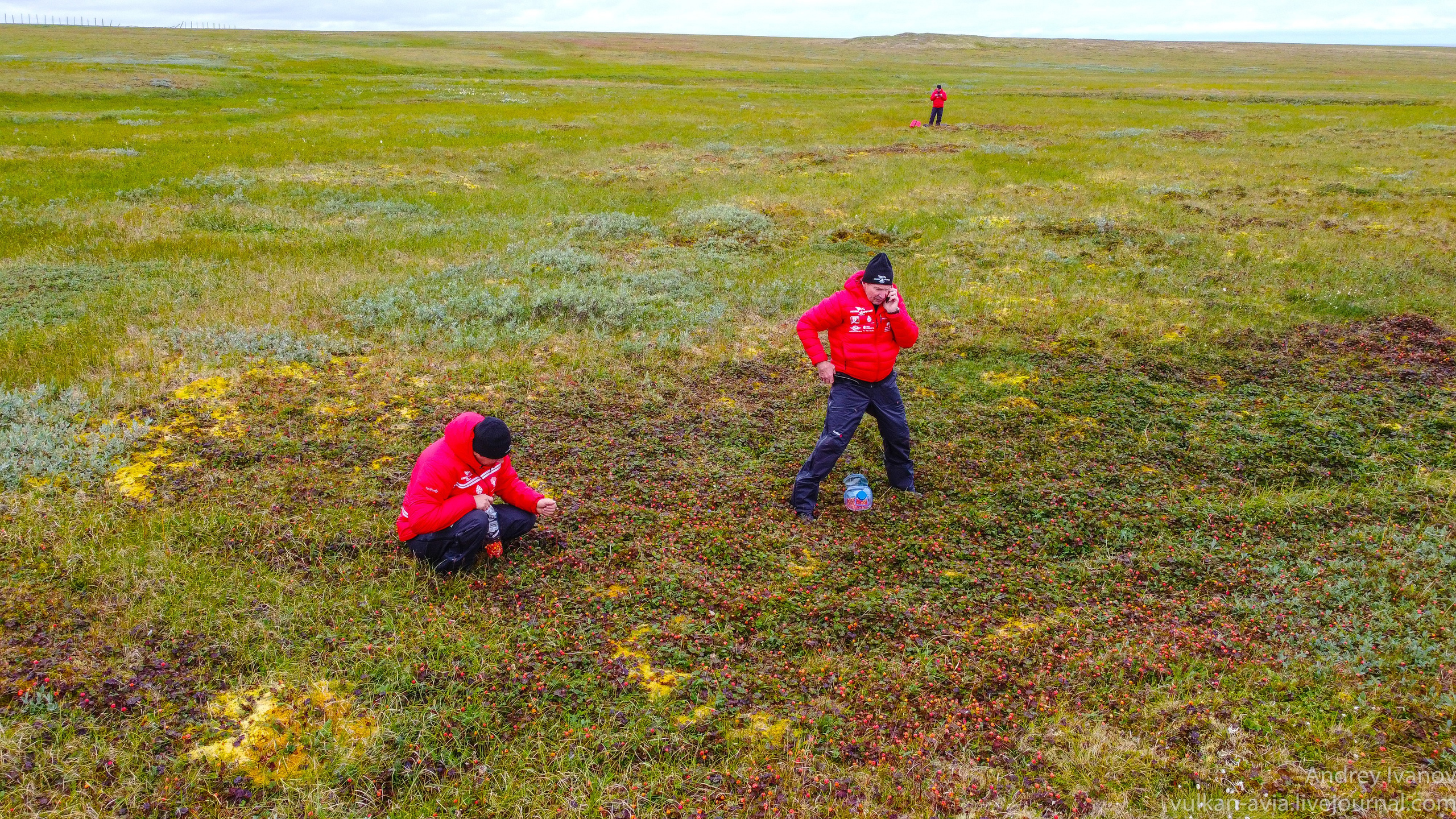 Амдерма — наука (2020 г.). Фотоальбом показывающий увлекательный мир авиации и мир медведей Андрея Иванова