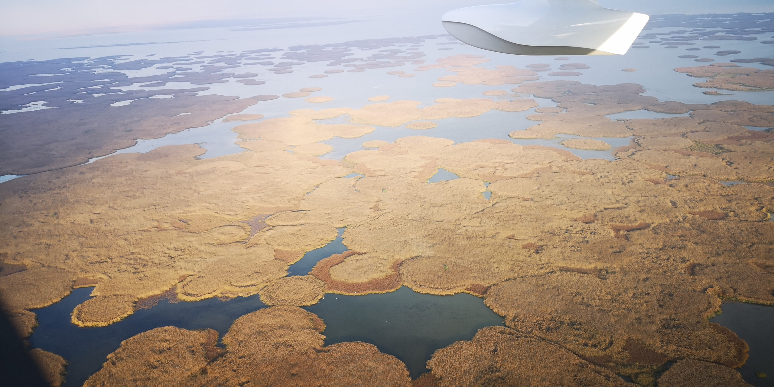 Каспийское море (наука на Ла-8) (2021 г.). Фотоальбом показывающий увлекательный мир авиации и мир медведей Андрея Иванова