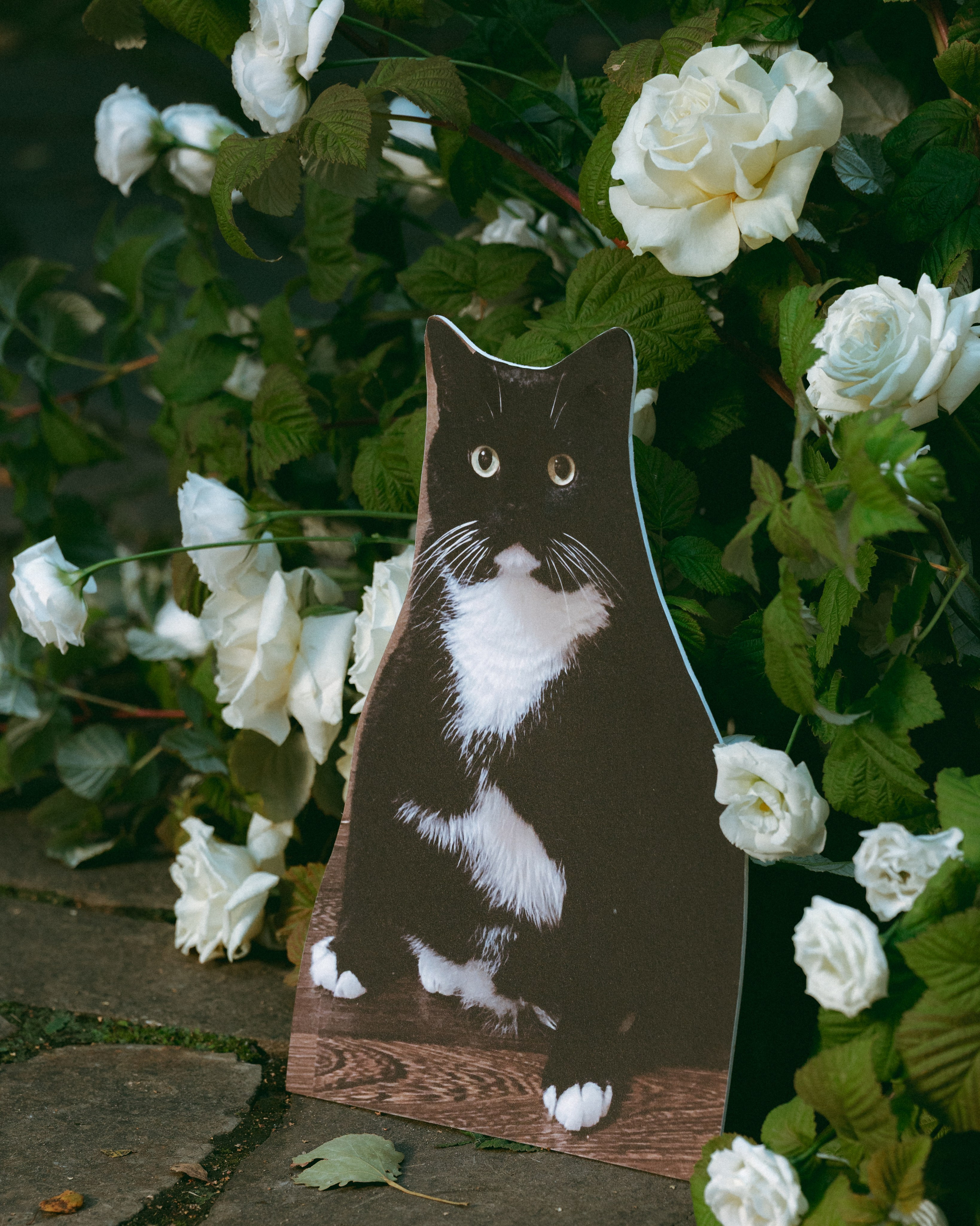 Александр и Анна. Фотограф Макс Меш