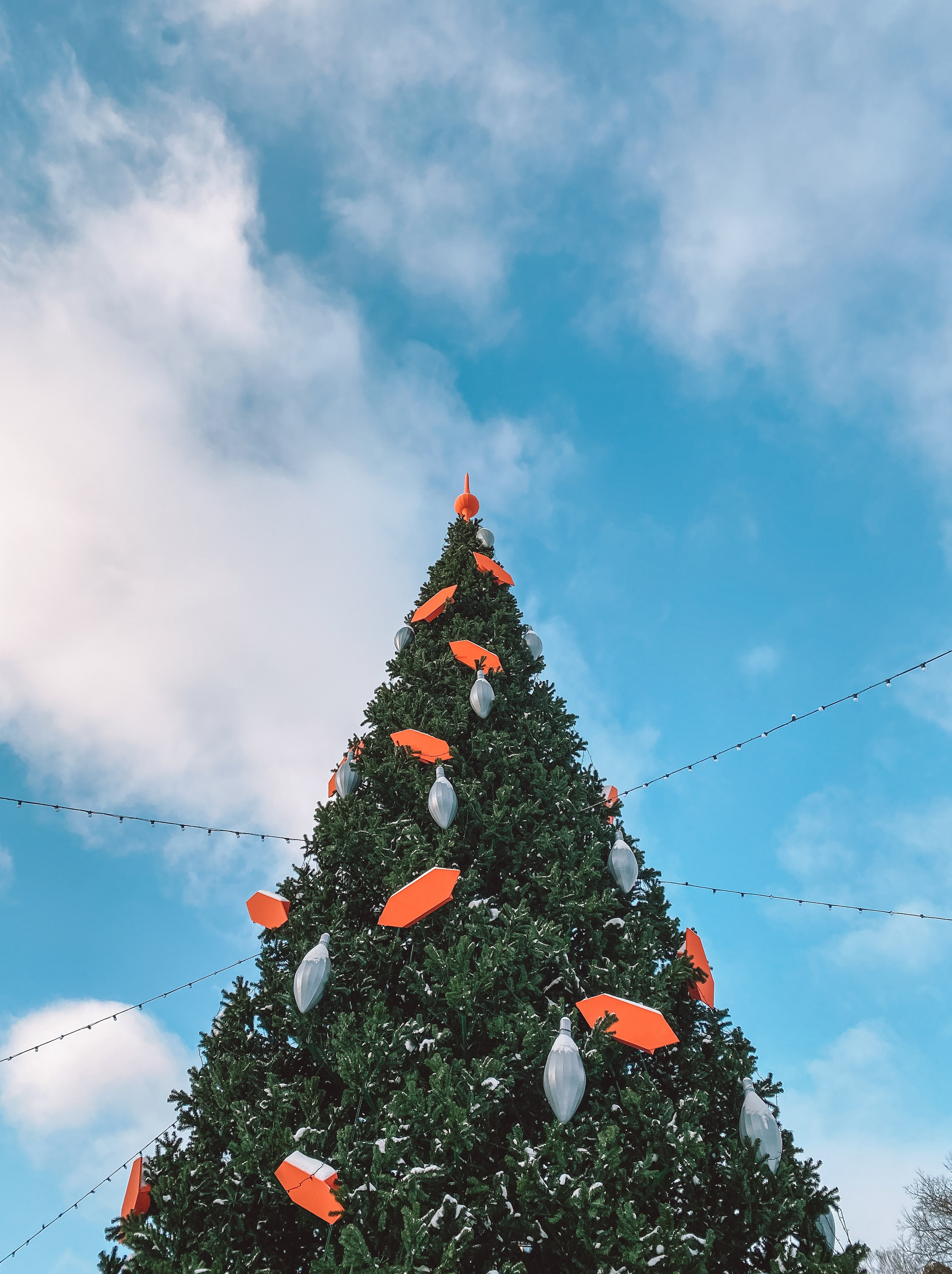 Iphone. Photographer in Turkey — Dari N